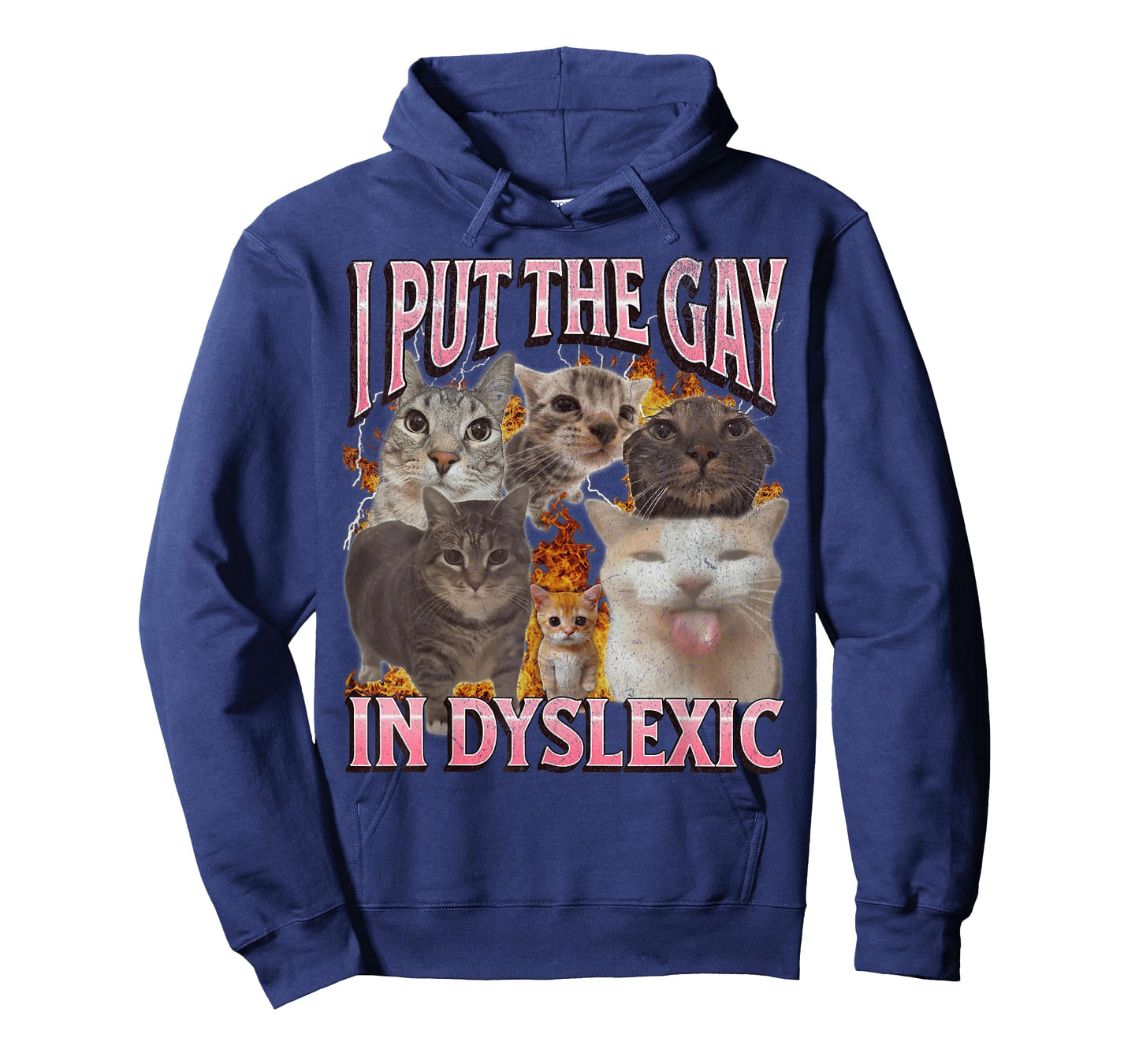 I Put The Gay in Dyslexic Funny Cat Meme Bootleg Graphic Men Women T-Shirt