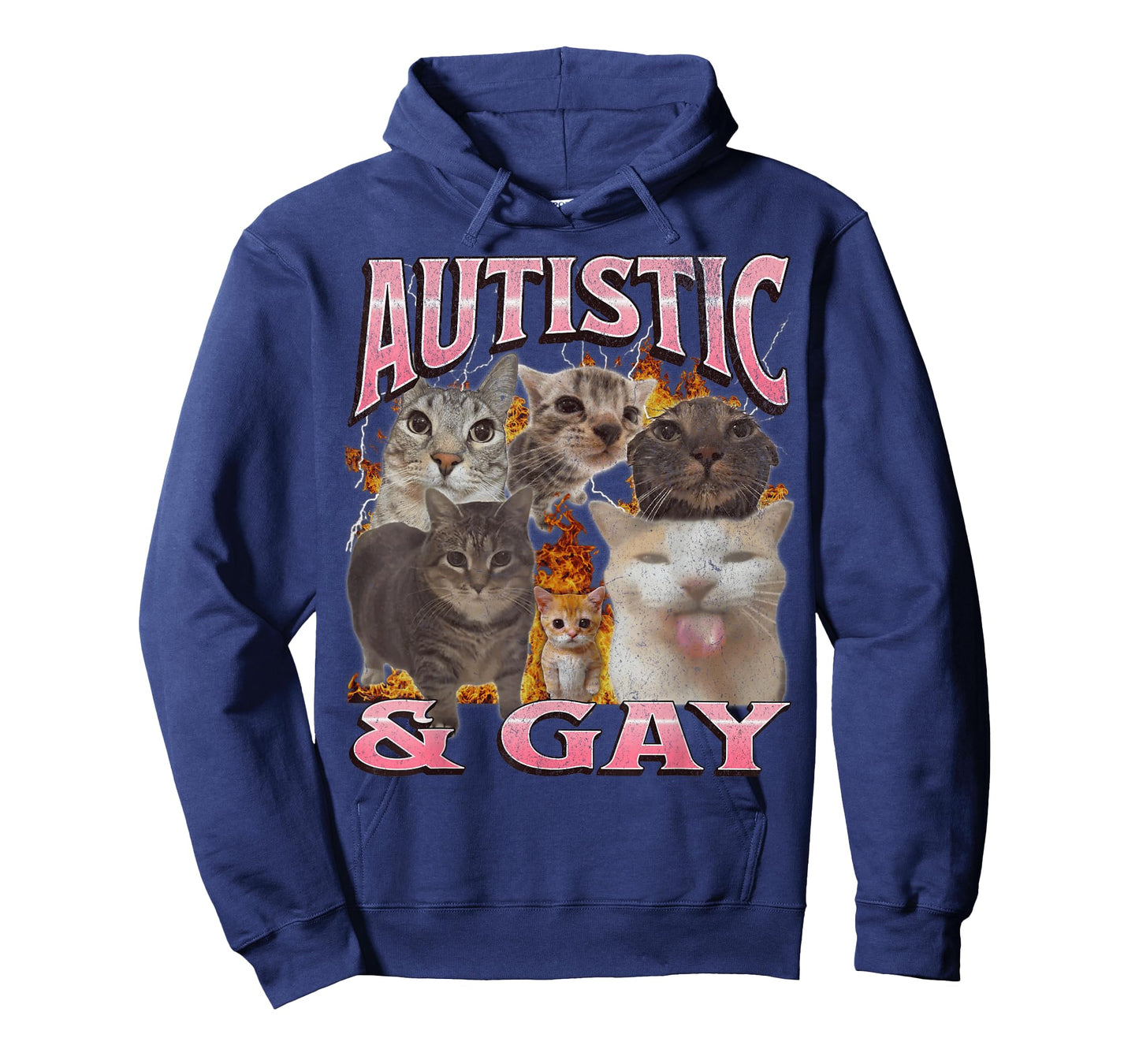 Autistic and Gay Funny Cat Meme Bootleg Graphic T-Shirt