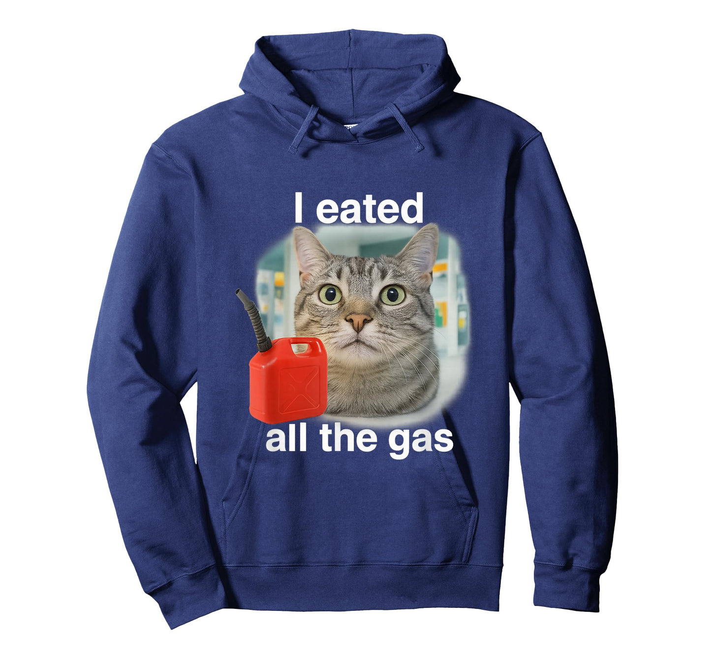 I Eated Wanted All The Gas Funny Unhinged Cat Humor Gen Z T-Shirt