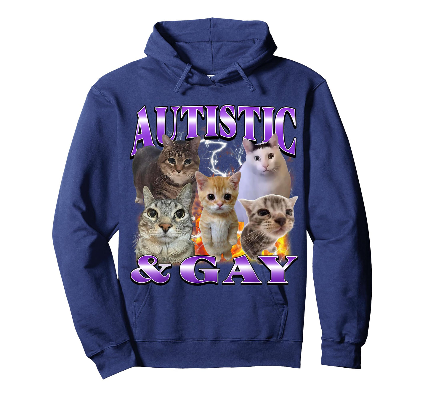 Autistic and Gay Funny Offensive Cat Meme Bootleg Men Women T-Shirt