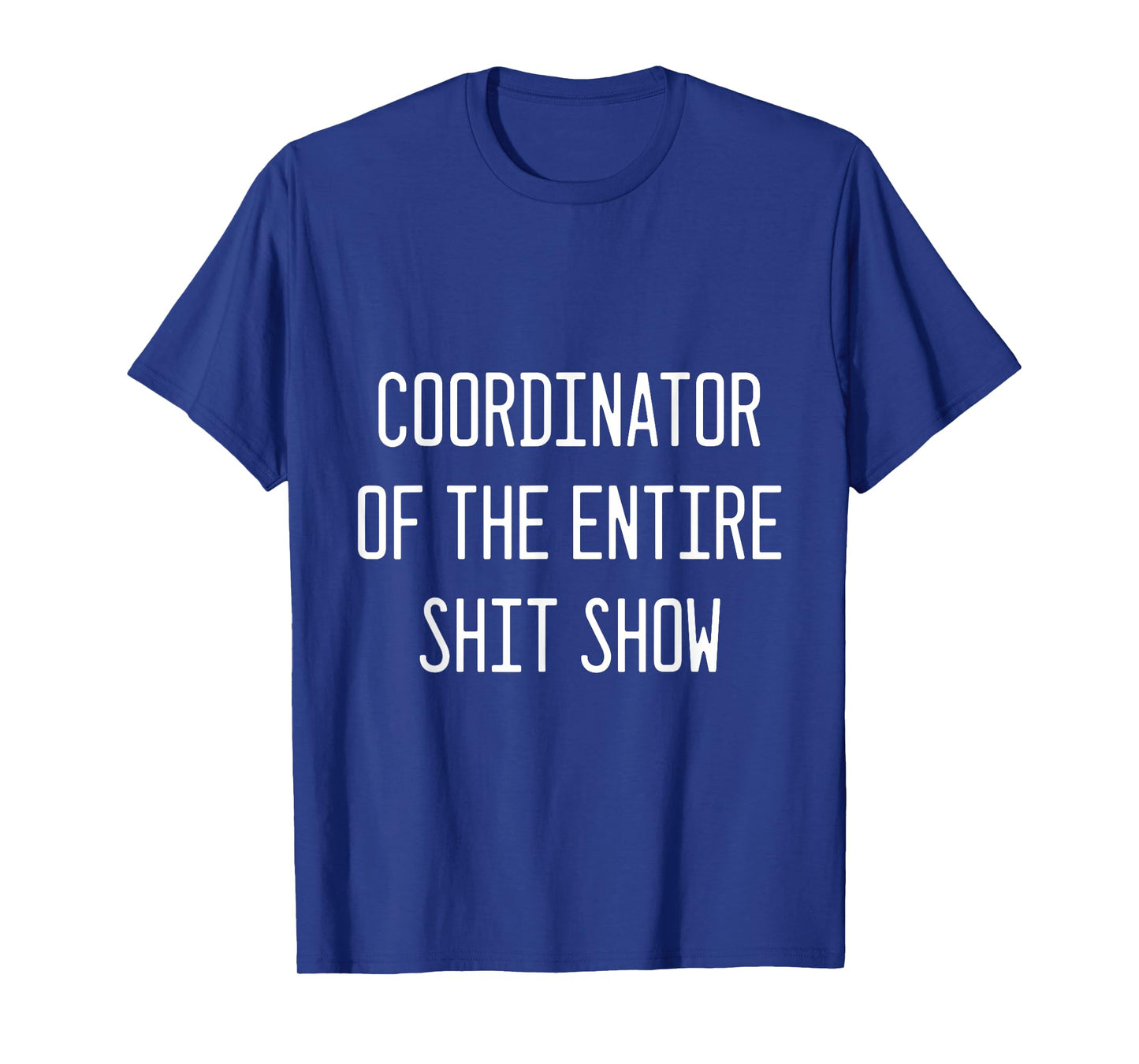 coordinator of the entire shitshow T-Shirt
