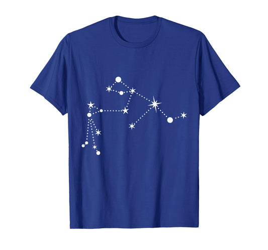 Aquarius Star Zodiac Gifts Women & Men by DAIMMER Unisex-Adults Black Small Modern Classic Zodiac T-Shirt
