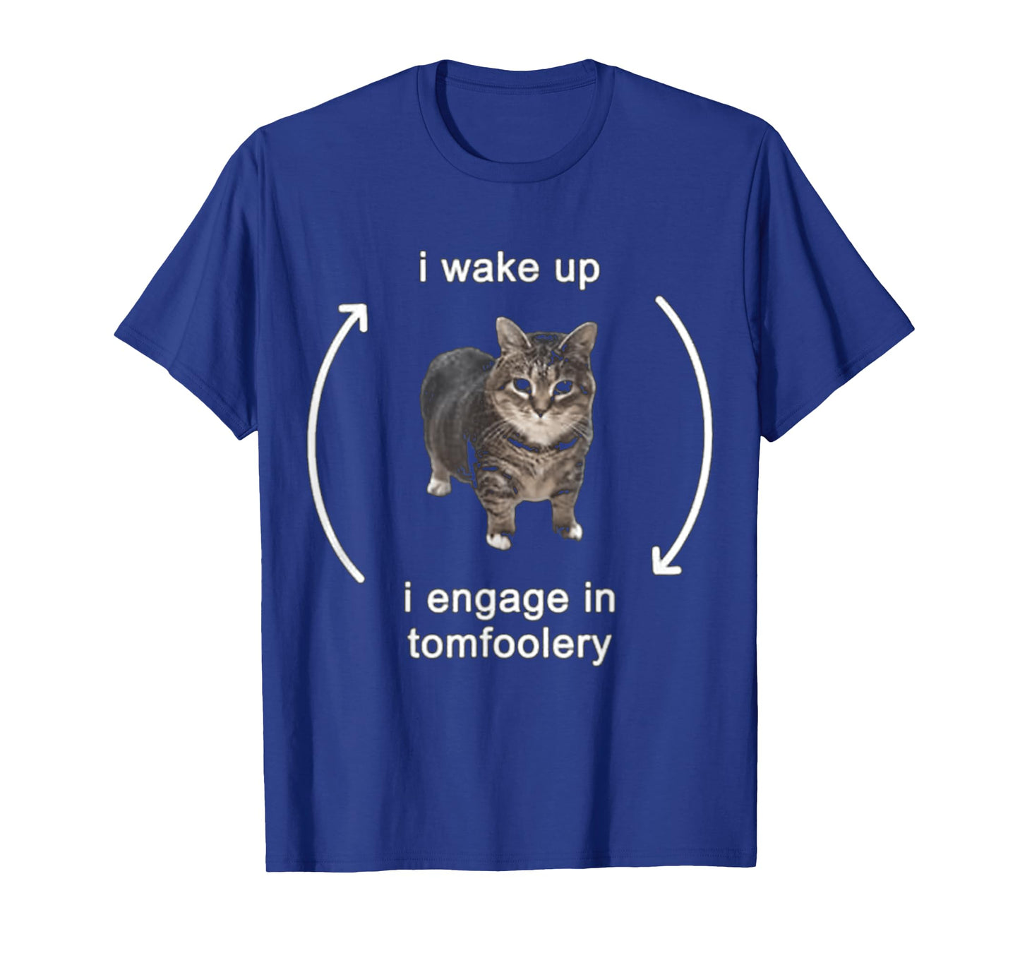 I Wake Up I Engage In Tomfoolery Cat FUNNY MEME T-Shirt for Men Women Kids