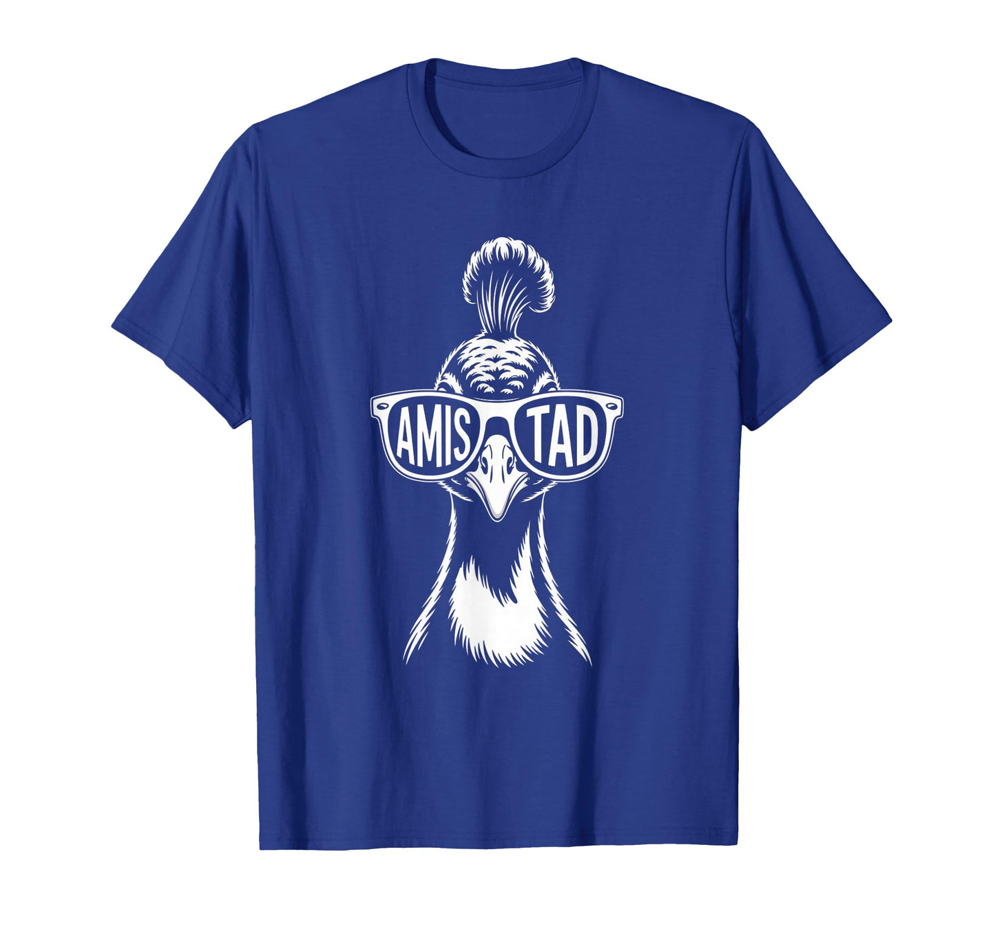 Amistad House of Friendship, RCA School Teachers T-Shirt