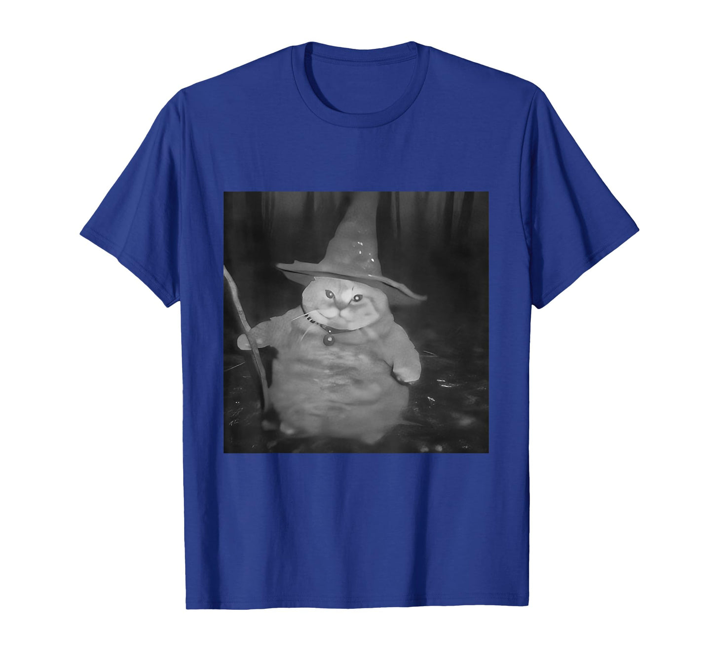 Fat Wizard Cat Fat Kitten Wizard Funny Cat Meme Brain Rot T-Shirt