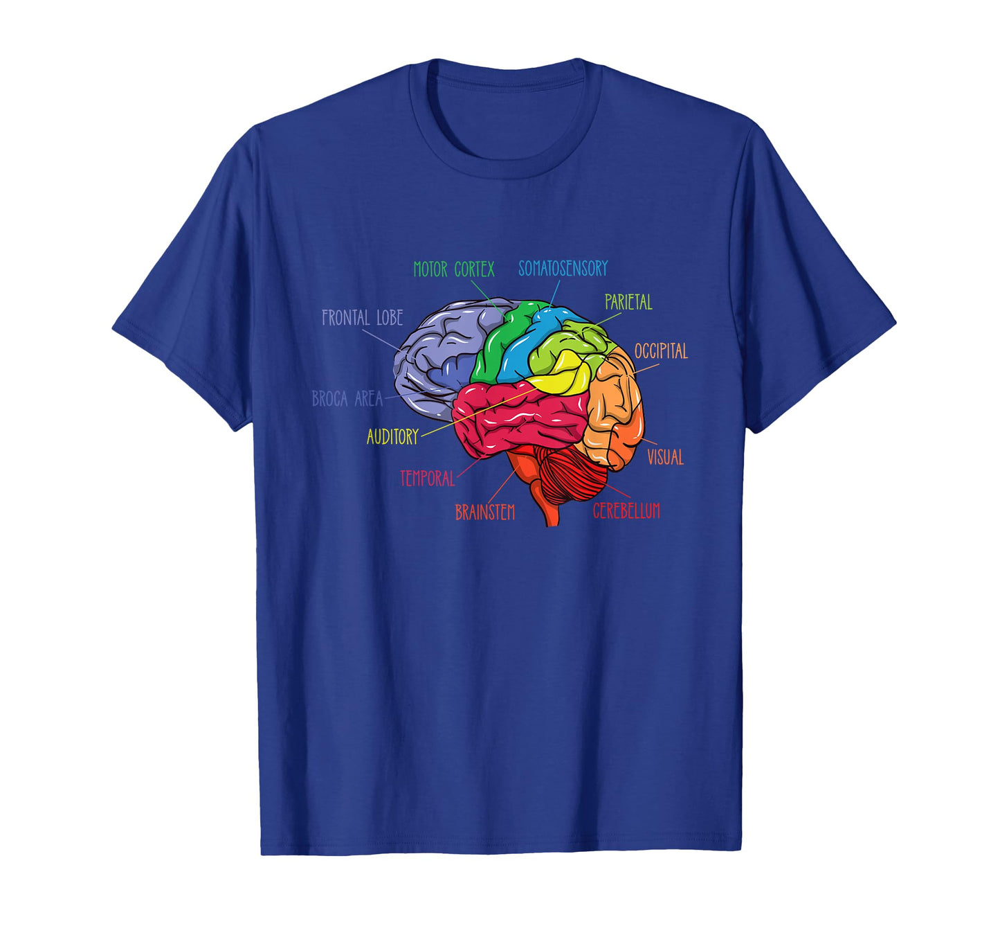 Anatomy Of The Brain Neurologist Gift T-Shirt