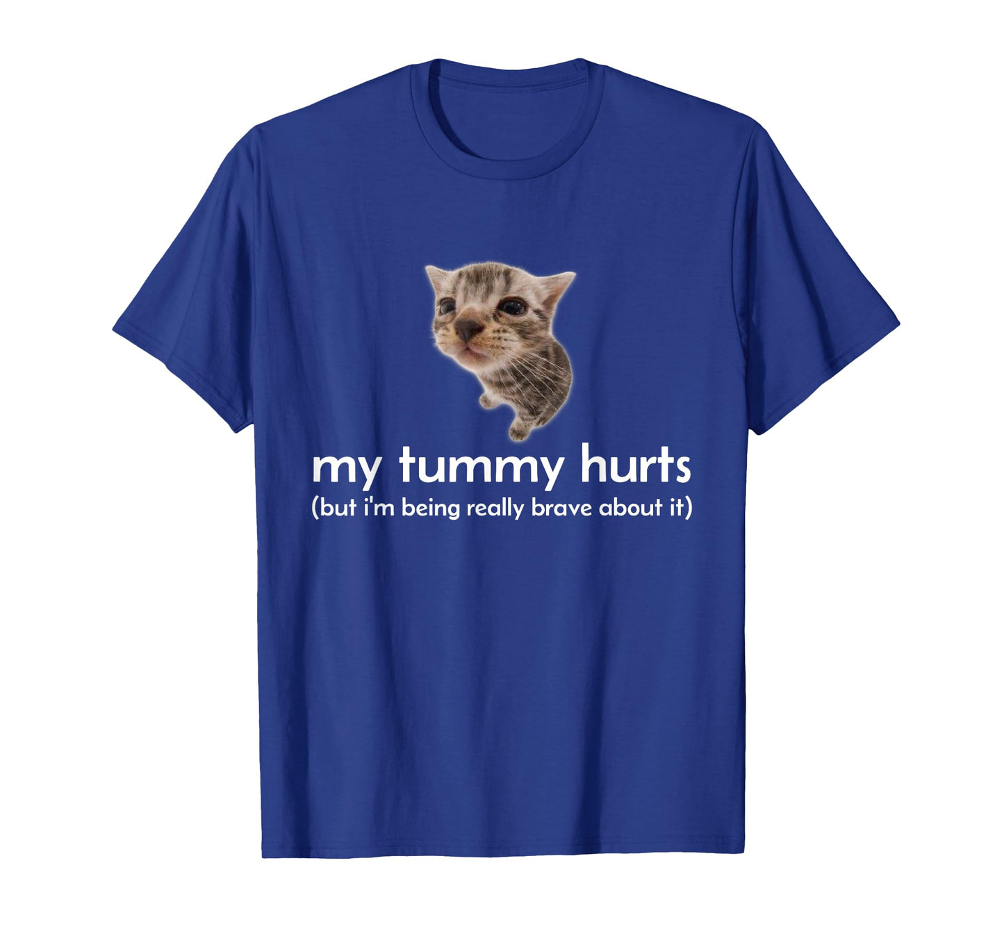 My Tummy Hurts But I'm Being Brave About It Funny Cat Meme T-Shirt for Men Women