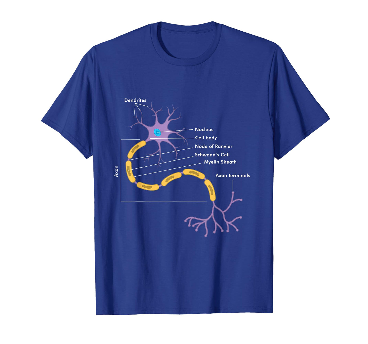 Anatomy Of Neuron Neurologist Gift T-Shirt