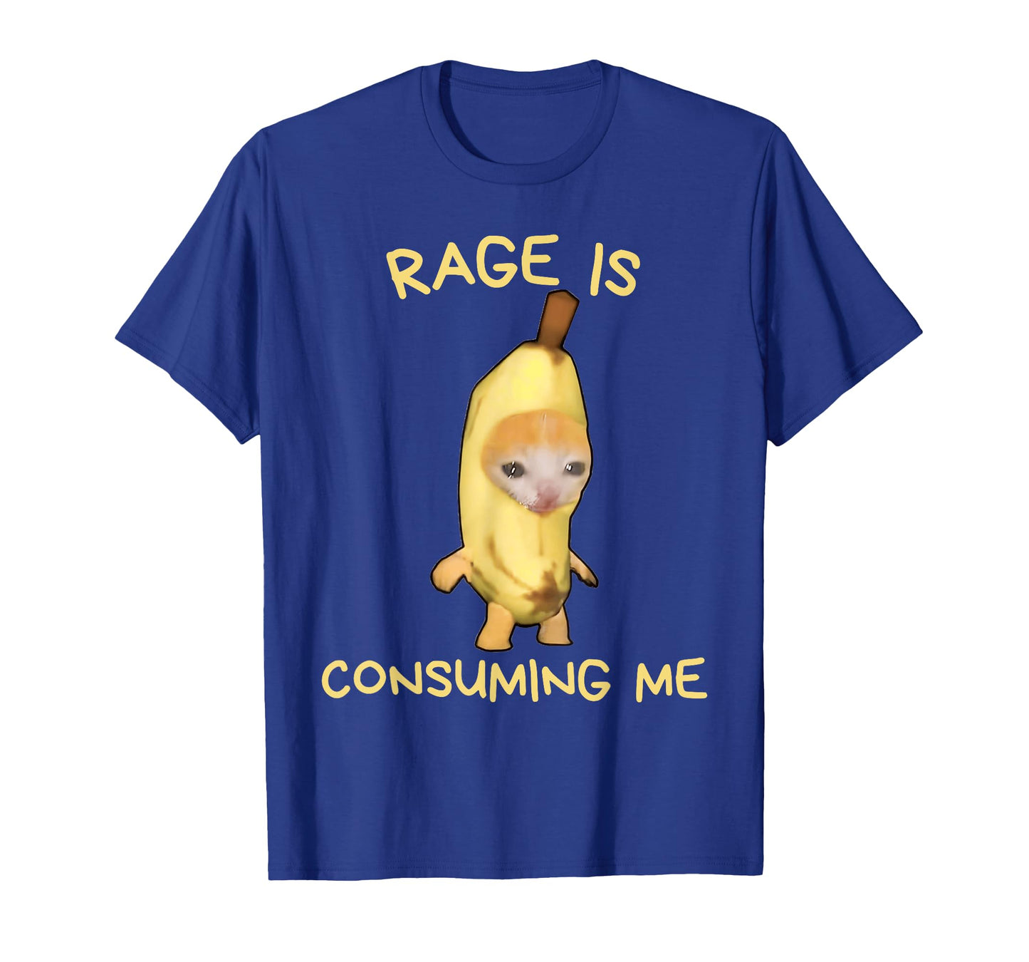 Rage Is Consuming Me Meme Banana Cat Meme Funny Memes Gen-Z T-Shirt