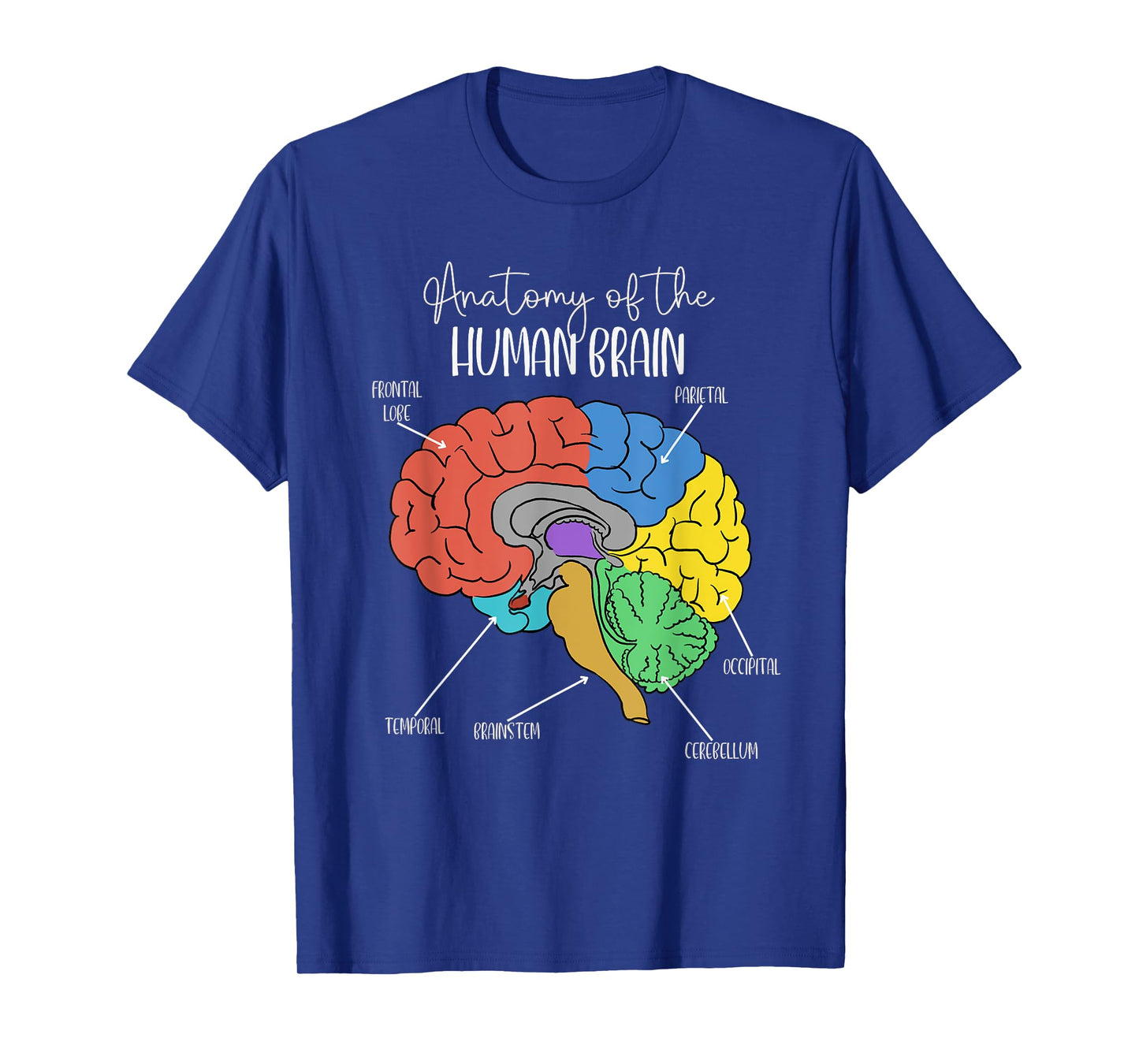 Anatomy of the Human Brain Diagram Neurology Colorful Brain T-Shirt