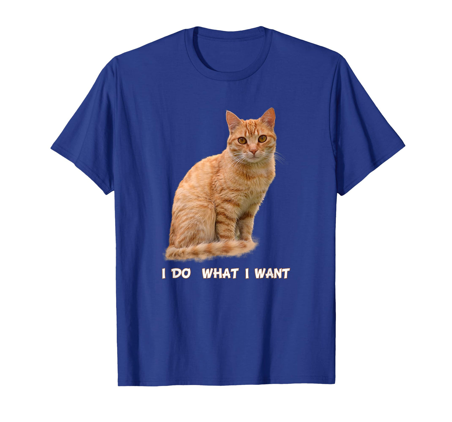 I Make What I Want Funny Orange Tabby Cat Lovers T-Shirt
