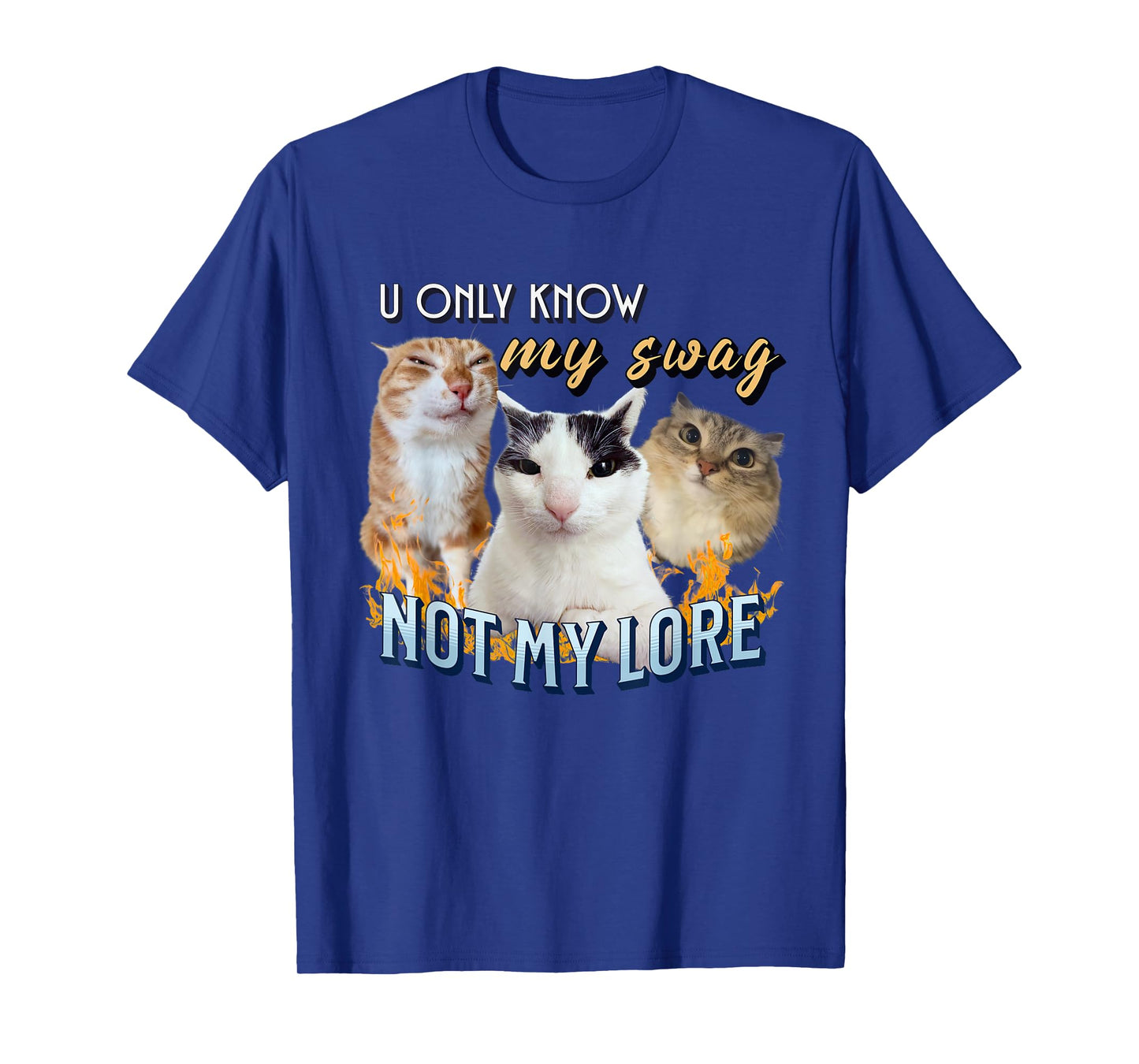 You Only Know My Swag Not Lore Funny Derpy Cat Meme Y2K T-Shirt for Men Women Kids