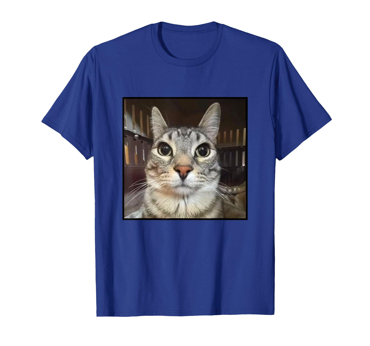 Silly Staring Cat Meme T-Shirt