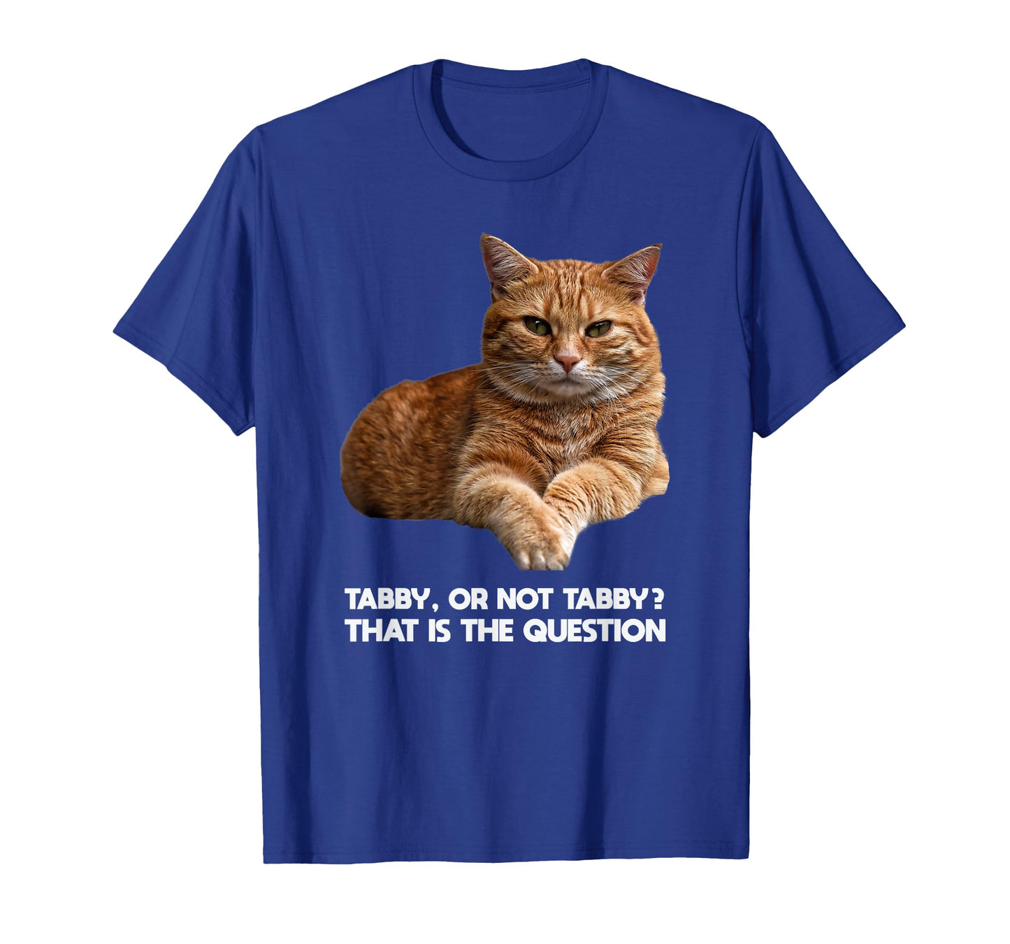 Orange Tabby Cat Funny Meme Gift T-Shirt