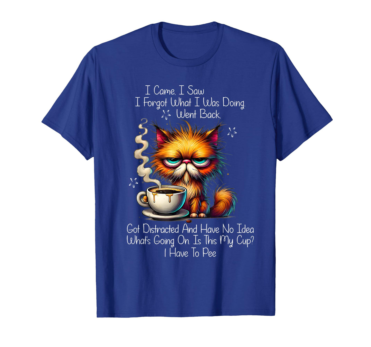 I came I saw I forgot what I was doing Went back got T-Shirt