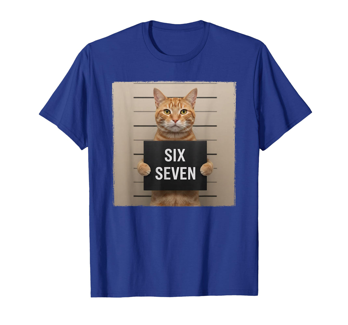 Funny Cat Mugshot Meme 67 Six Seven T-Shirt