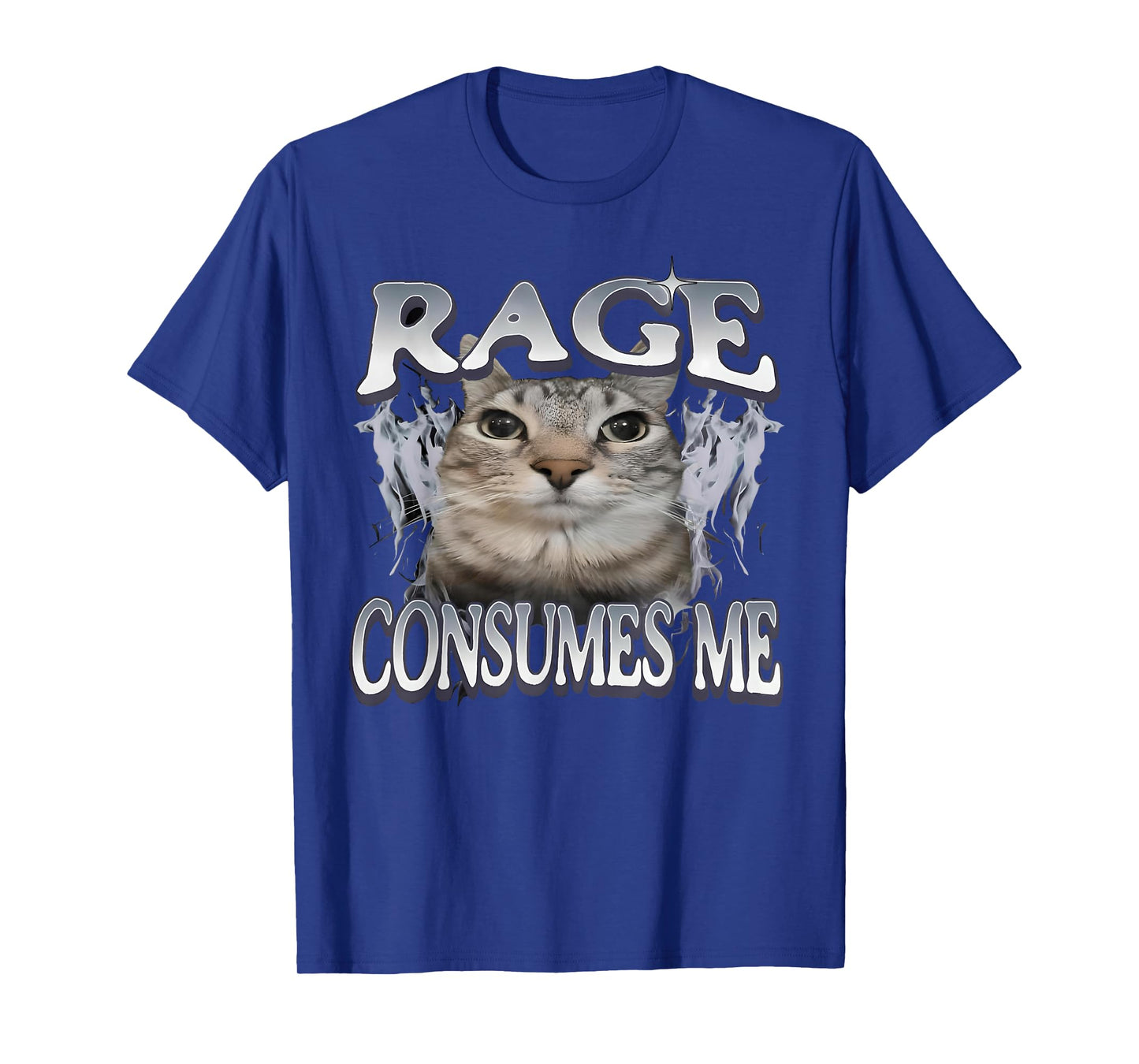 Rage Consumes Me Cat Funny Cat Meme Vintage Weird Humor T-Shirt