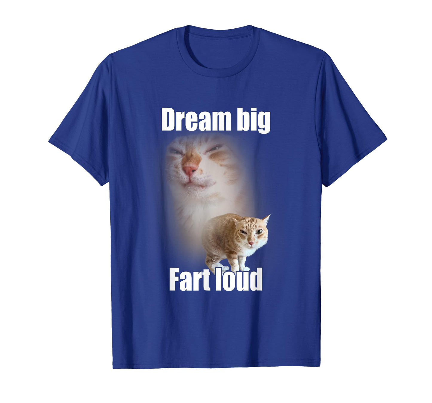 Dream Big Fart Loud Cat Meme Funny Saying T-Shirt