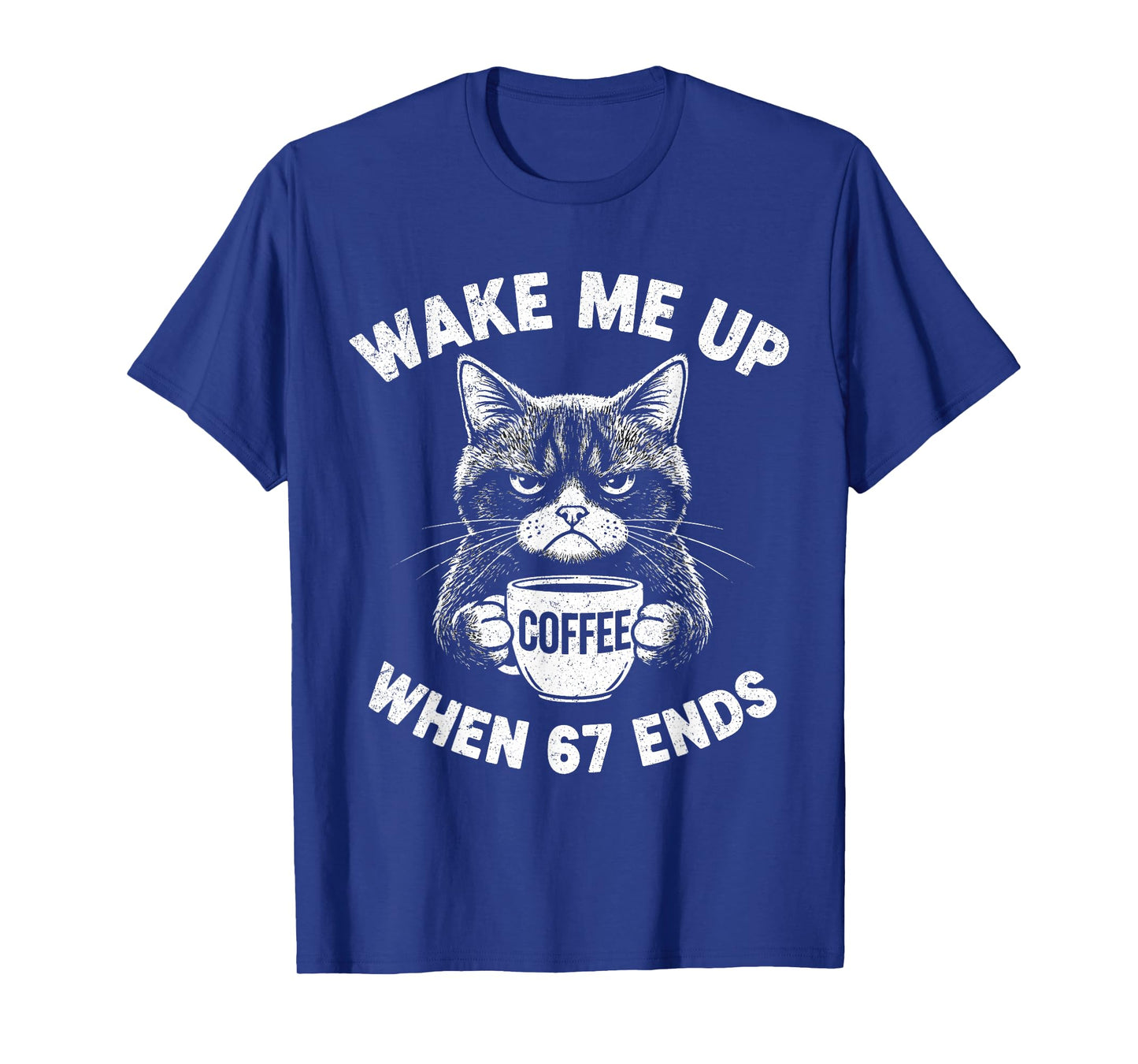 Wake Me 67 Ends Anti Six Seven Cat Brainrot Teacher T-Shirt