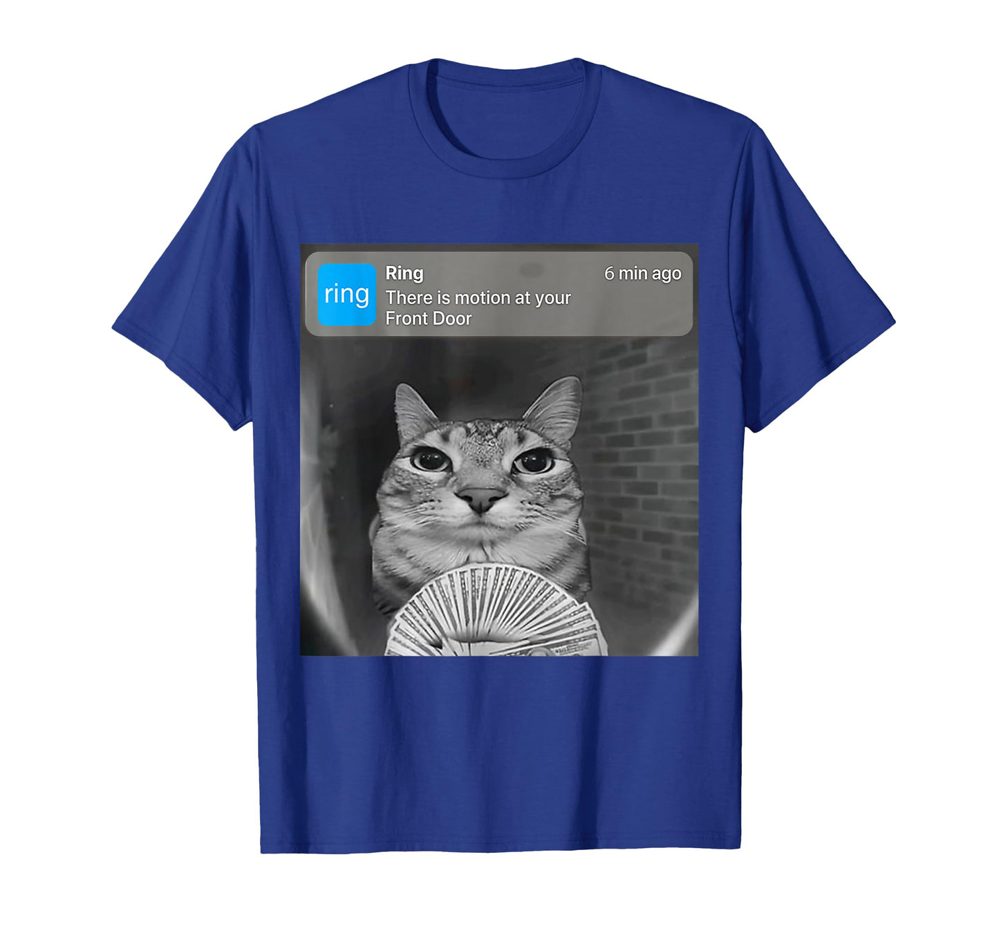 There is Motion at Your Front Door Funny Silly Cat Meme T-Shirt