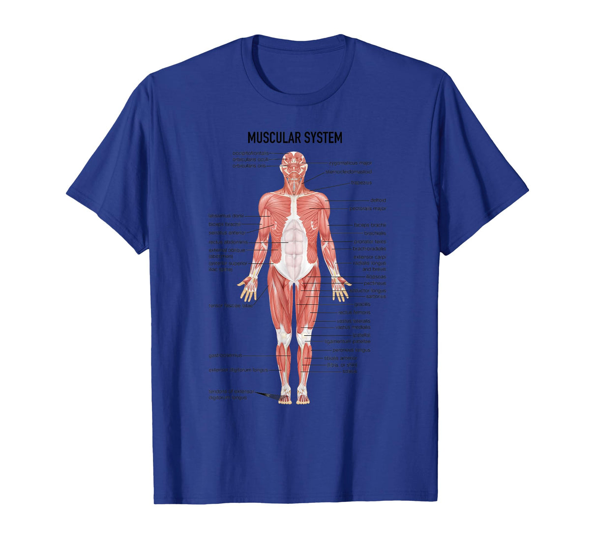 Muscular System Nurse Doctor Funny Med Medical Jokes Humor T-Shirt