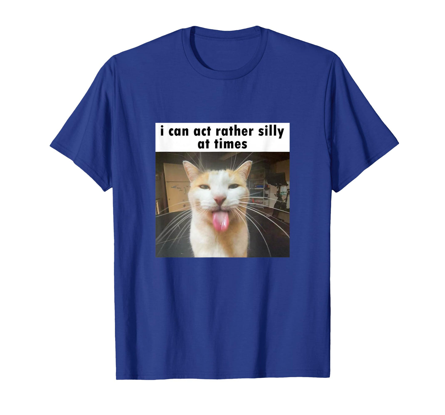 I Can Act Rather Silly at Times, Funny Silly Cat Meme T-Shirt
