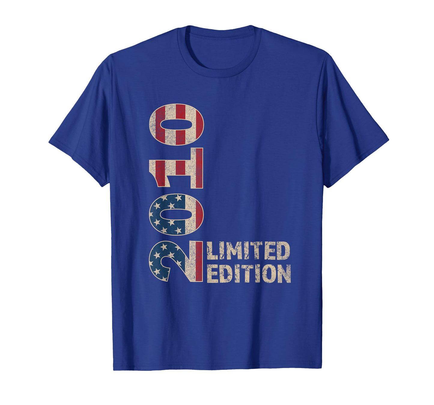 15th Birthday Gift Boy Vintage Born 2010 Turning 15 Year old T-Shirt