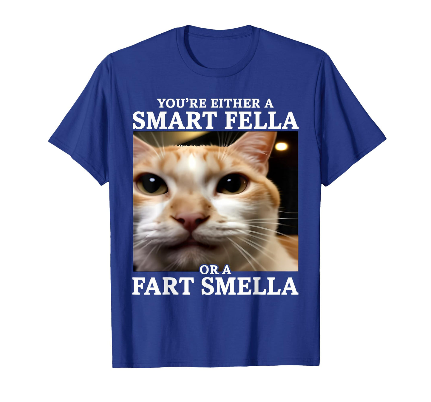 You're Either a Smart Fella or a Fart Smella Funny Cat Meme T-Shirt