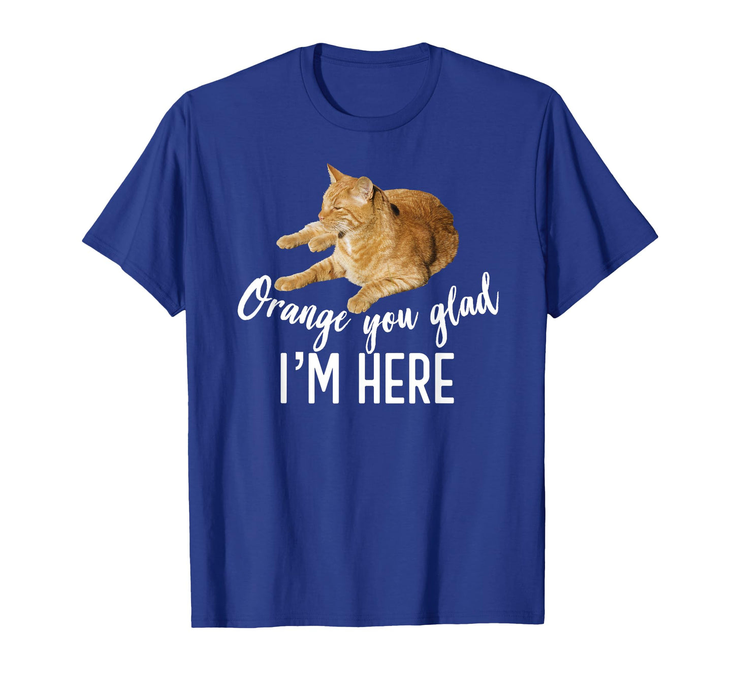 Orange You Glad I'm Here Tabby Cat Lover Graphic T-Shirt