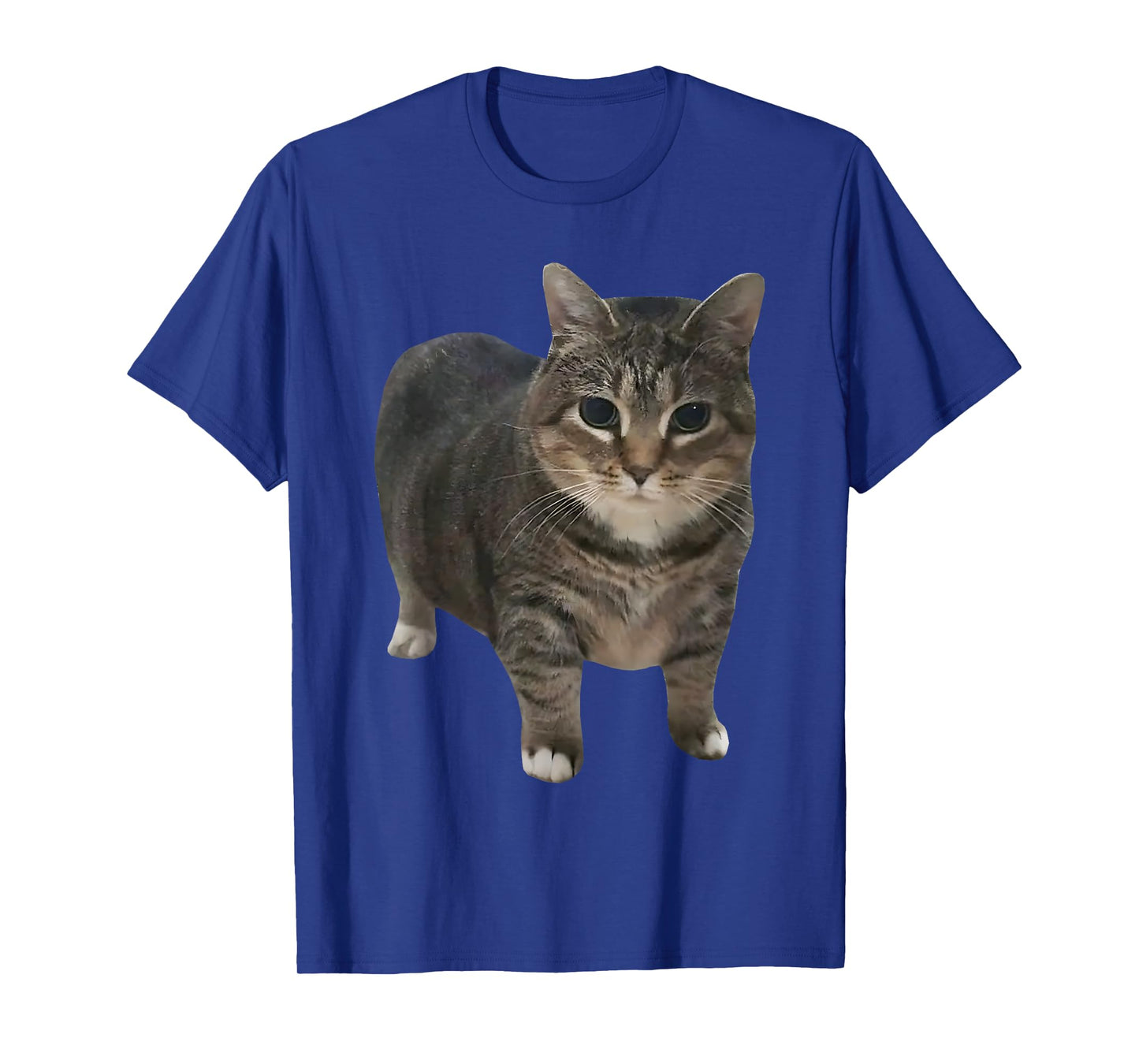 oiia oiia Spinning Cat Meme T-Shirt for Men Women
