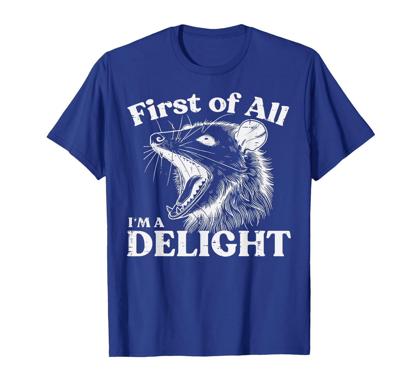 Opossum First Im A Delight Funny Possum Humor Men Women Kids T-Shirt