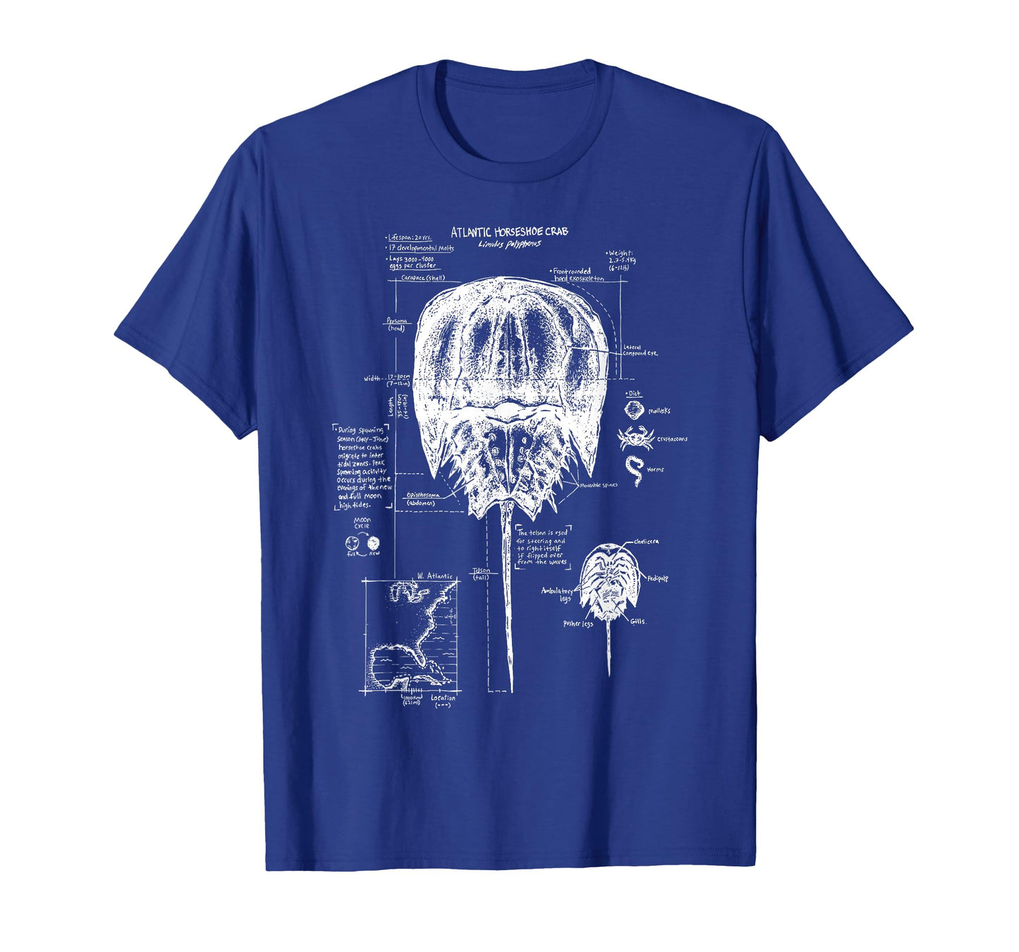 Atlantic Horseshoe Crab Anatomy Marine Biology Ocean Animal T-Shirt