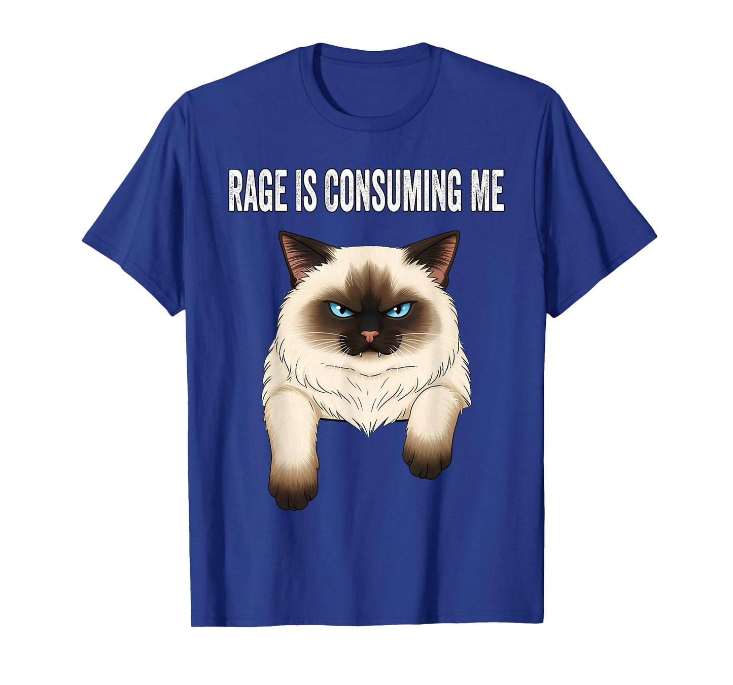 Silly Cat Rage is Consuming Me Silly Cats Funny Cat Meme T-Shirt