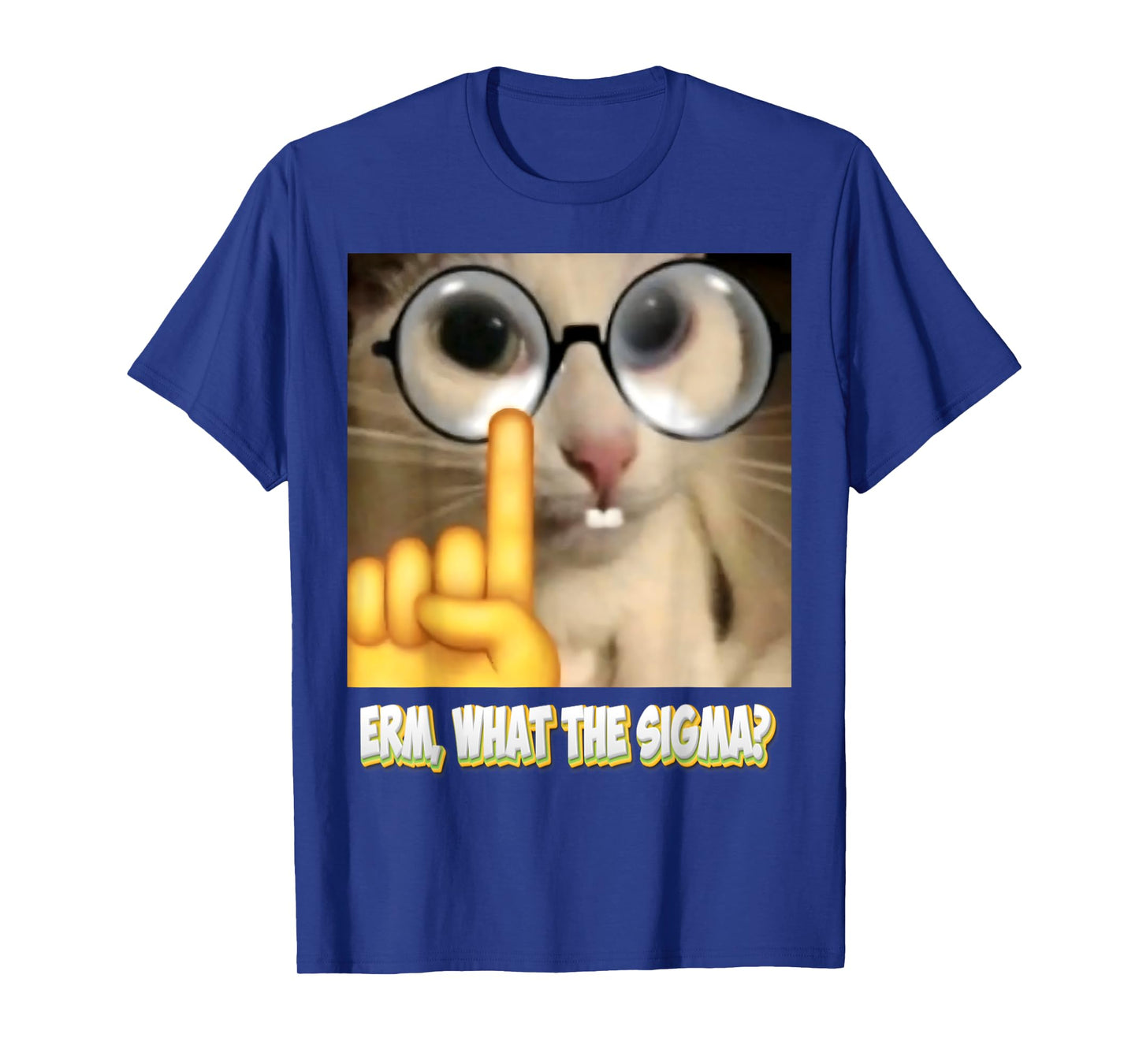 Cat Funny Erm, What the Sigma? Cat Meme Funny T-Shirt for Men Women