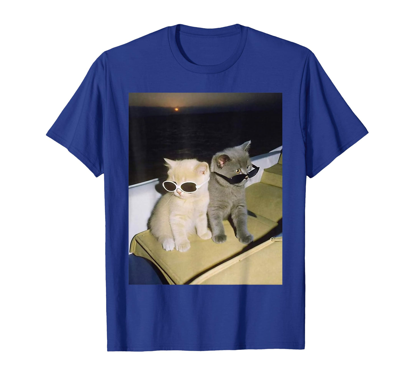 Two Cat with Sunglasses Kitten Funny Cool Cat T-Shirt