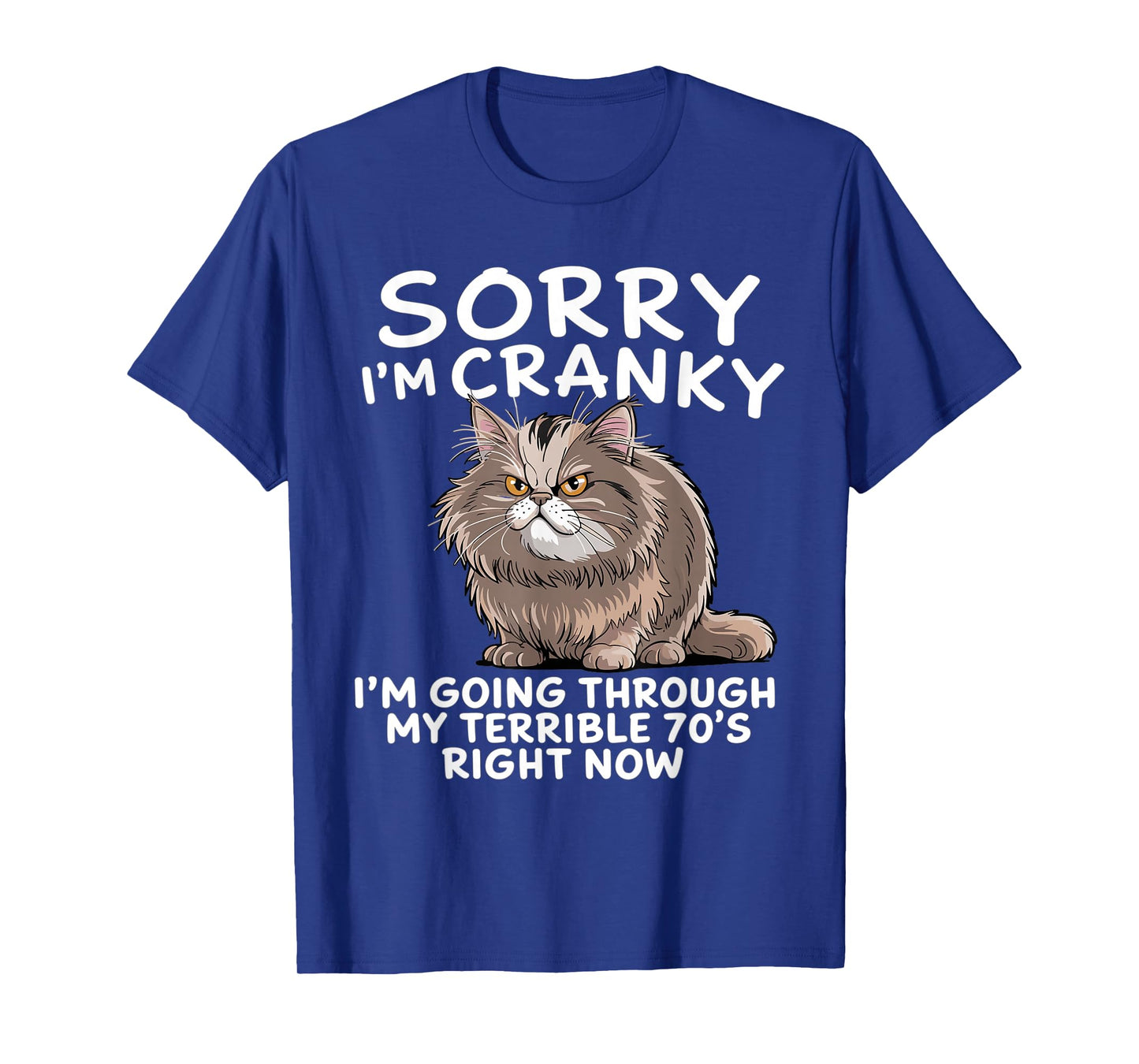 Sorry I Am Cranky I'm Going Through My Terrible Seventies T-Shirt