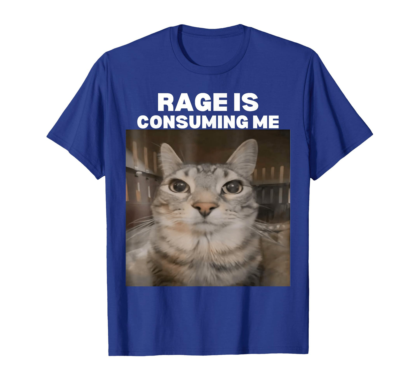 Rage Is Consuming Me Meme Cat Meme Internet Memes Funny Meme T-Shirt