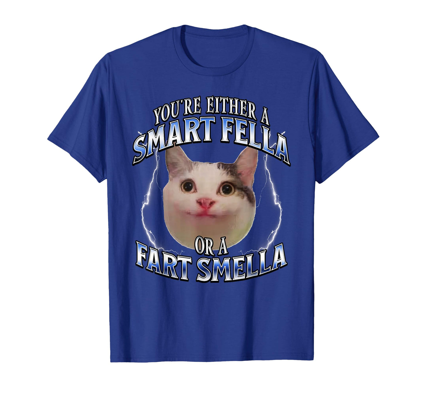 funny cat meme you're either a smart fella or a fart smella T-Shirt for Men Women Kids