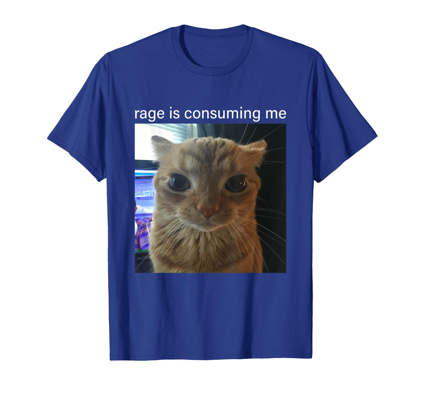 Rage Is Consuming Me Cute Silly Staring Cat Meme T-Shirt