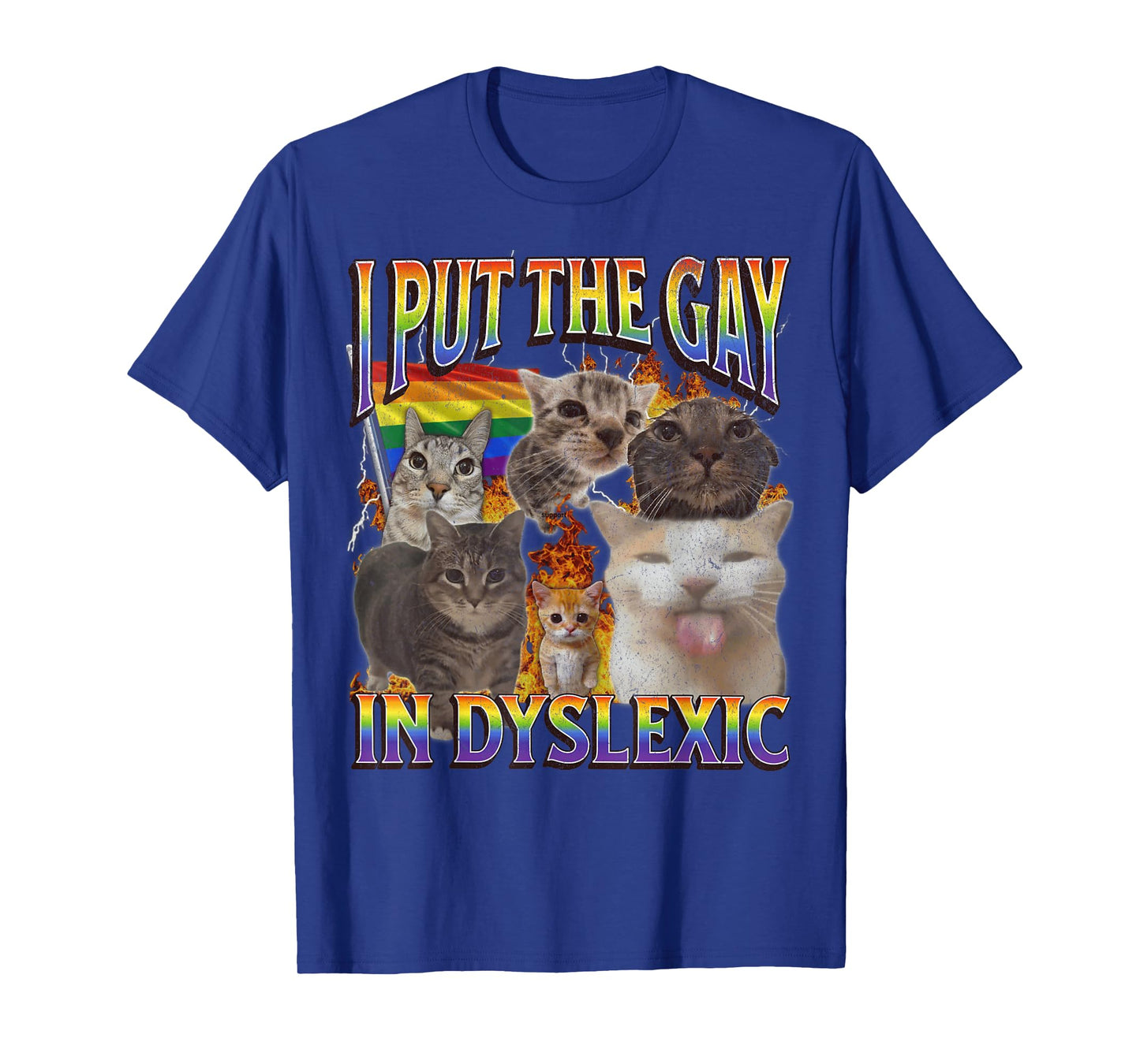 I Put The Gay In Dyslexic Funny Cat Meme Bootleg Graphic T-Shirt