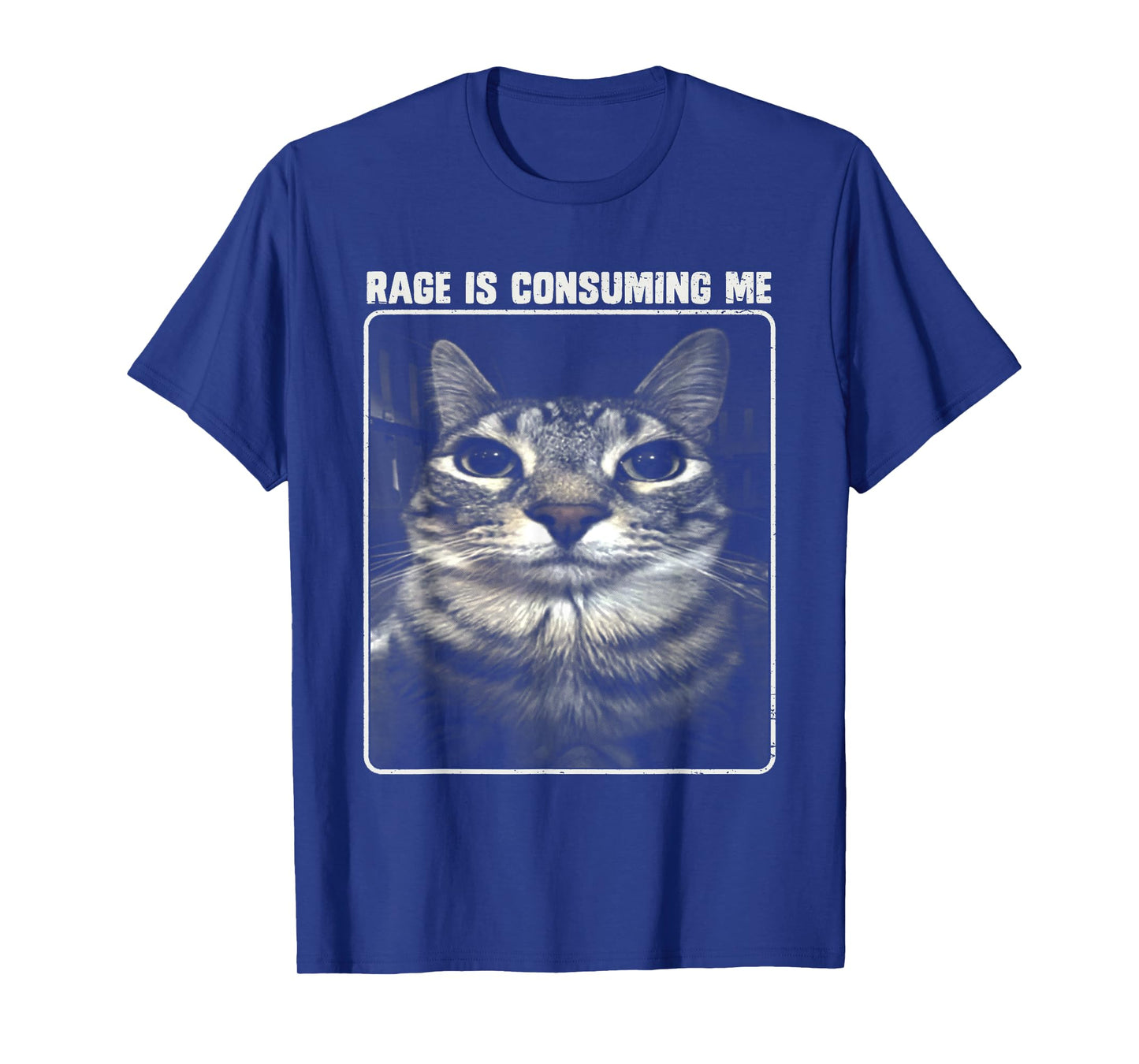Rage Is Consuming Me Meme Silly Cat T-Shirt for Men Women Girls Kids