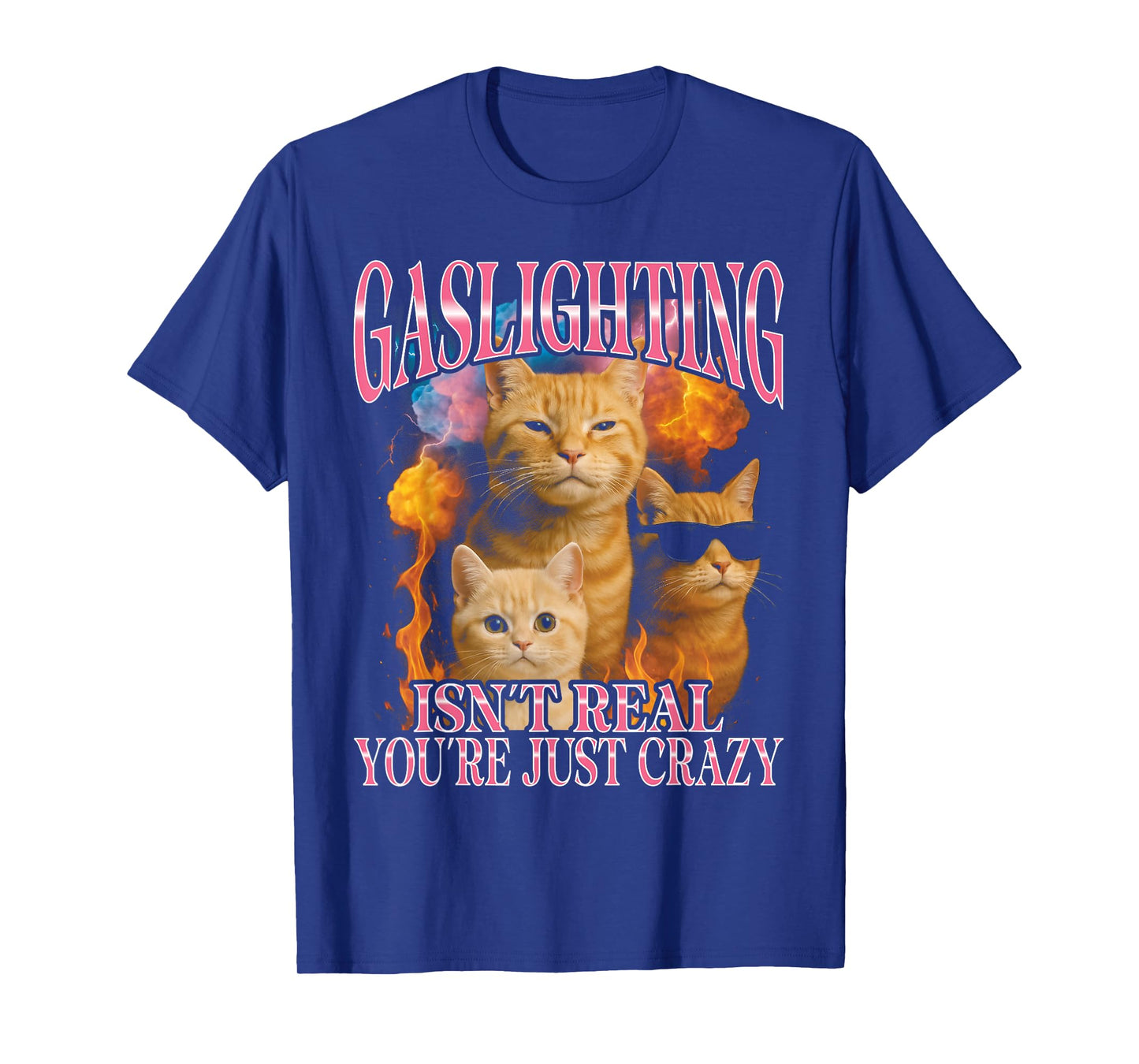 Gaslighting Isn't Real You're Just Crazy Funny Cat T-Shirt