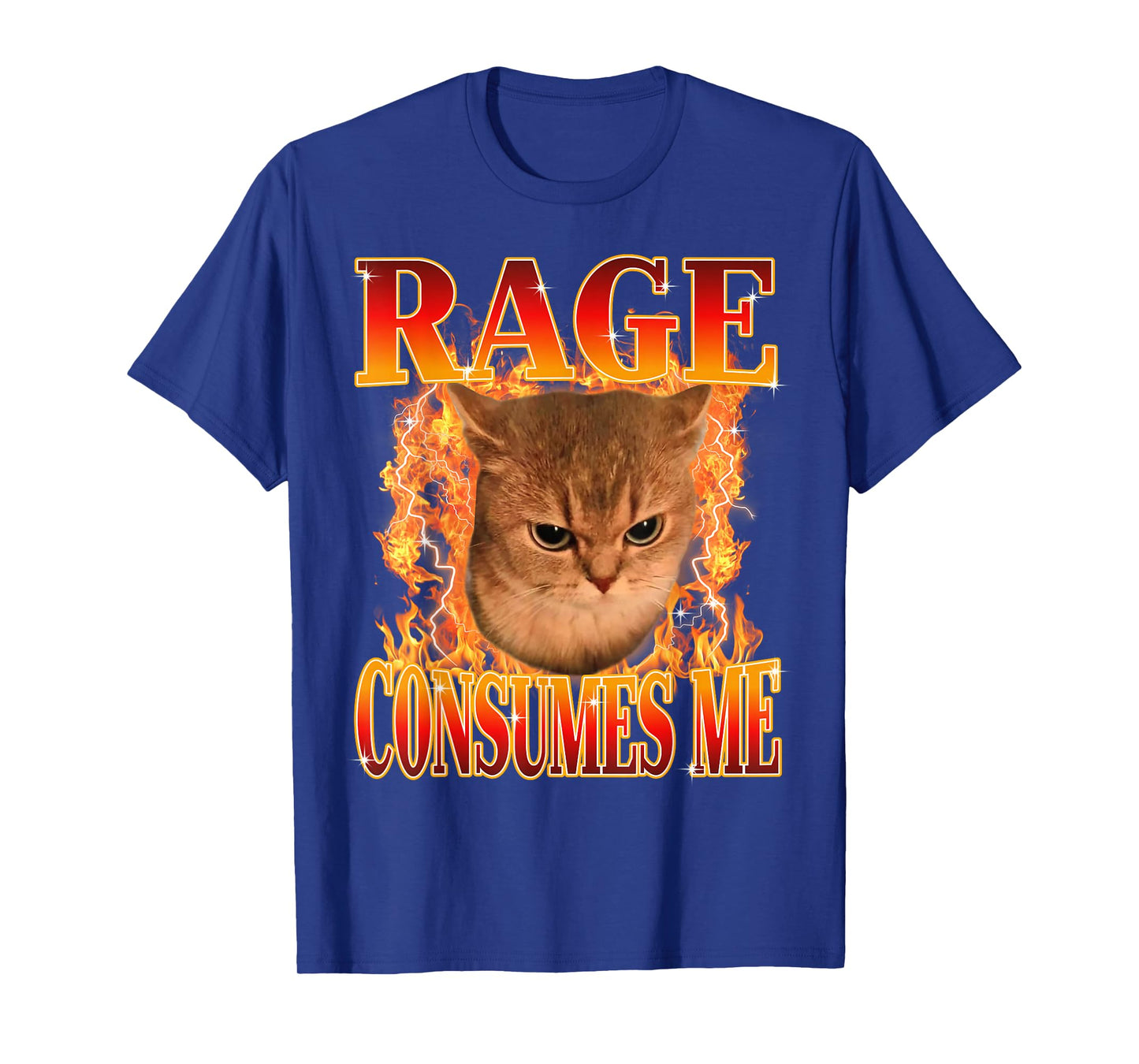 Rage Consumes Me Angry Cat Meme Funny Saying Cats Animals T-Shirt