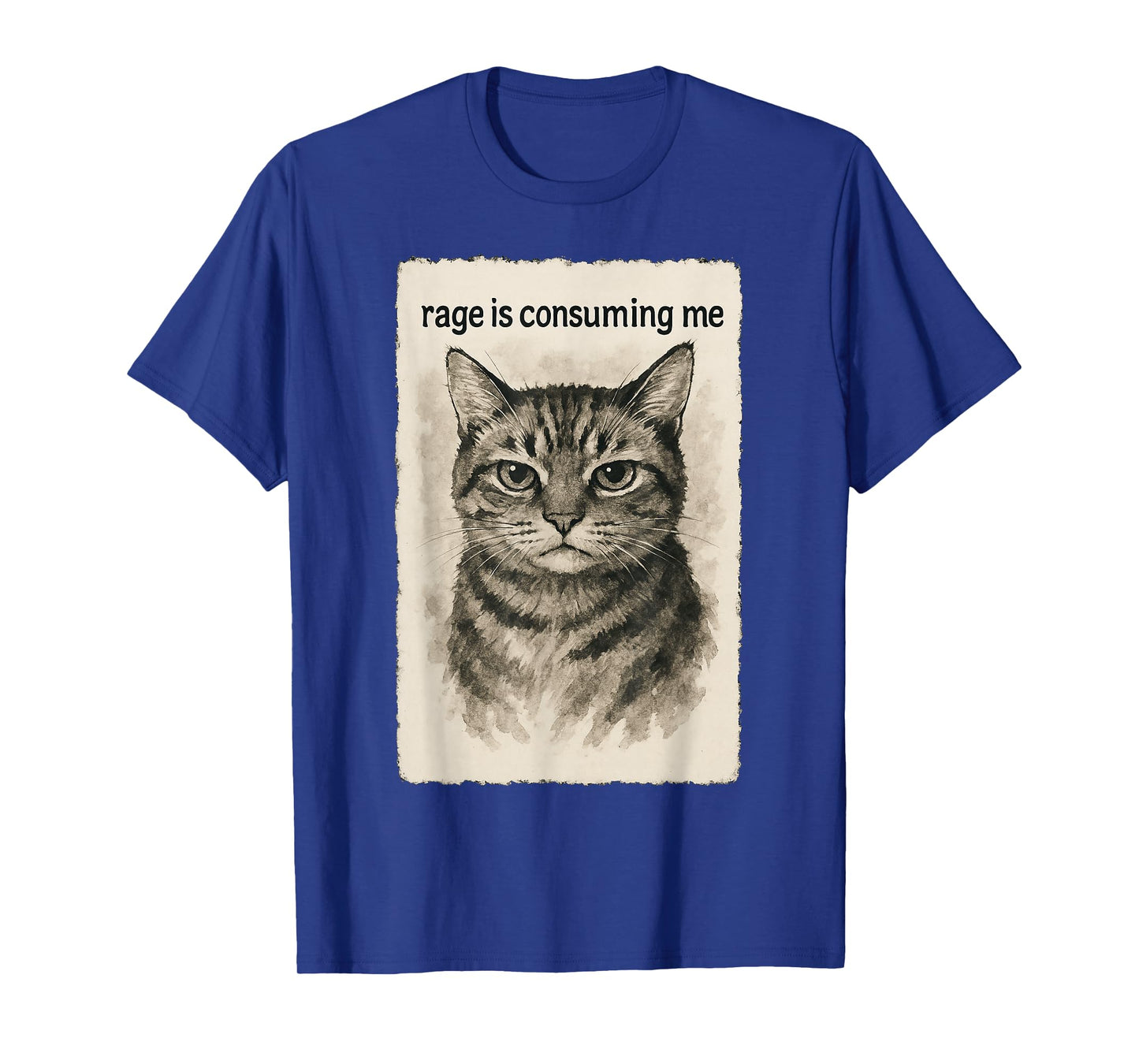 Rage is Consuming Me Funny Silly Staring Cat Meme Sumi-e T-Shirt