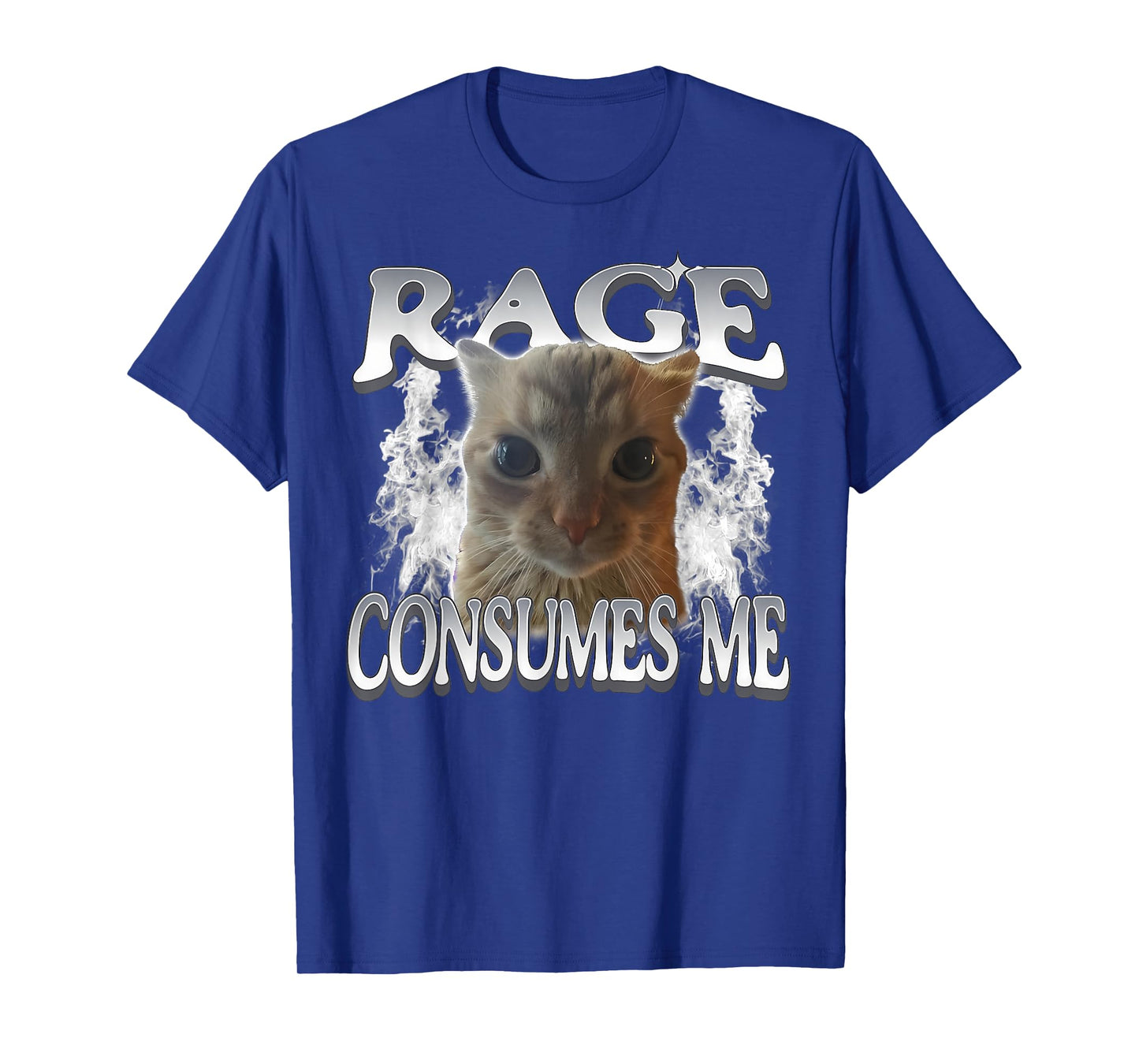 Rage Consumes Me Funny Silly Staring Cat Meme Women Men T-Shirt