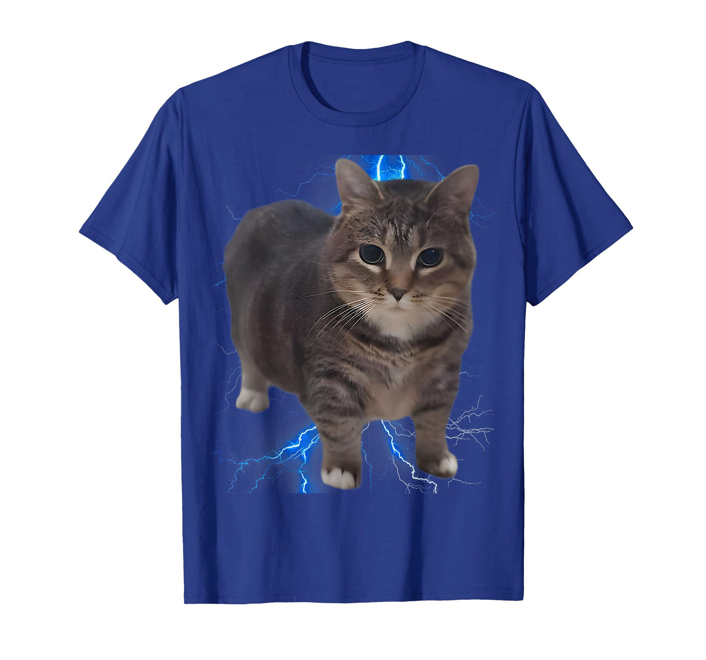Funny Oiia Oiia Spinning Cat Meme, Funny Cat, Cat Brainrot T-Shirt