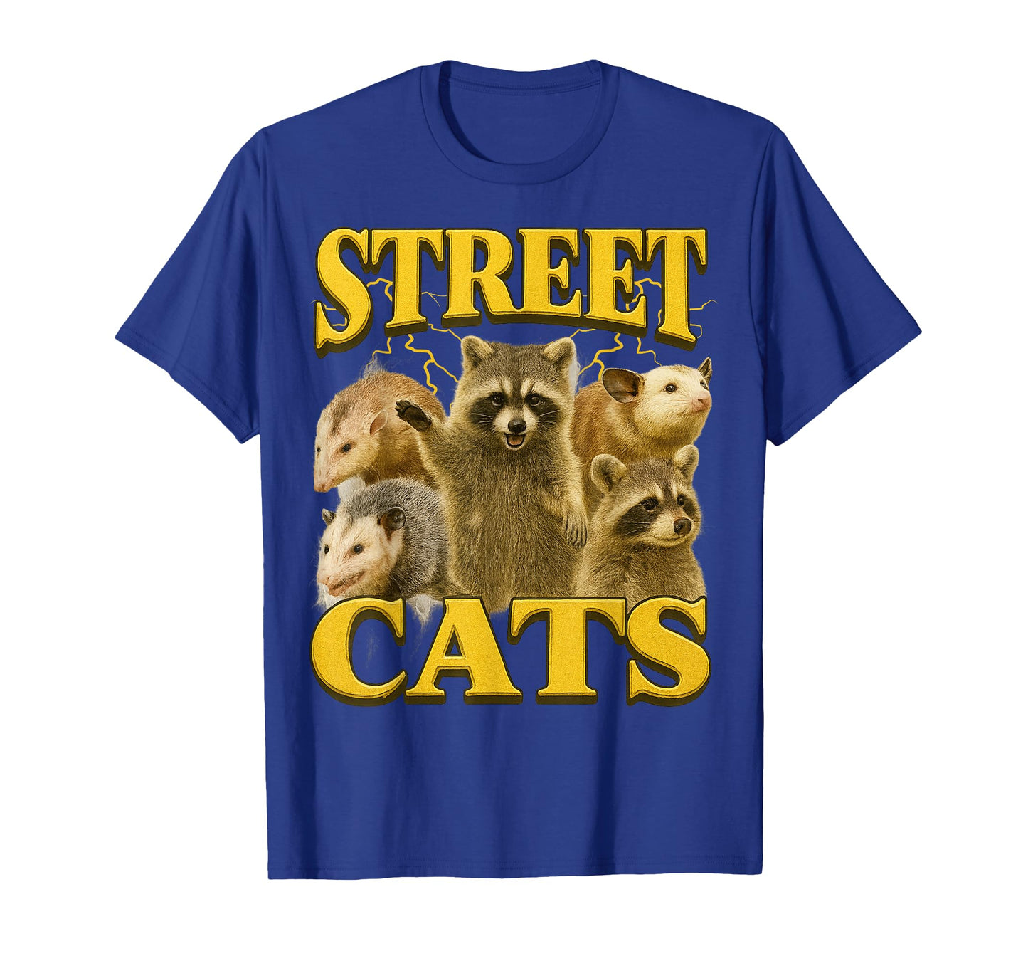 Funny Street Cats Funny Raccoon Bootleg Funny 90's Memes T-Shirt