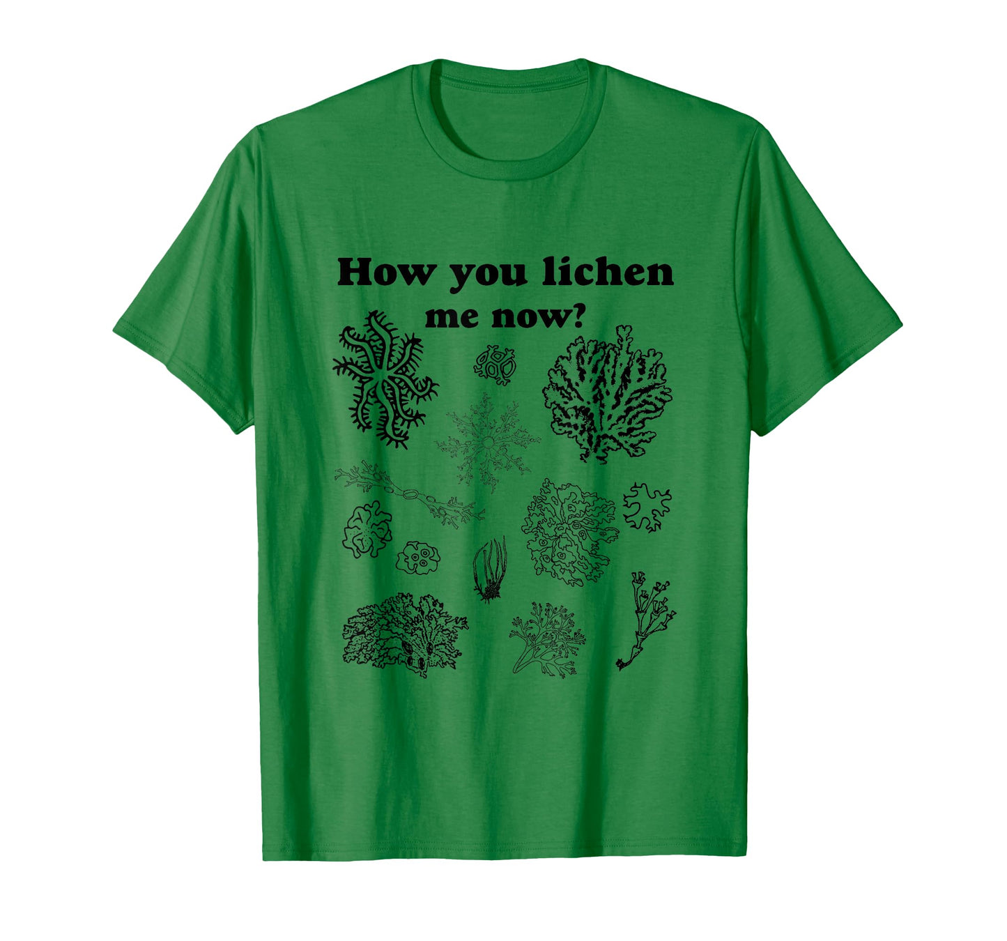 How You Lichen Me Now? Funny Vintage Moss Pun Graphic Tee T-Shirt