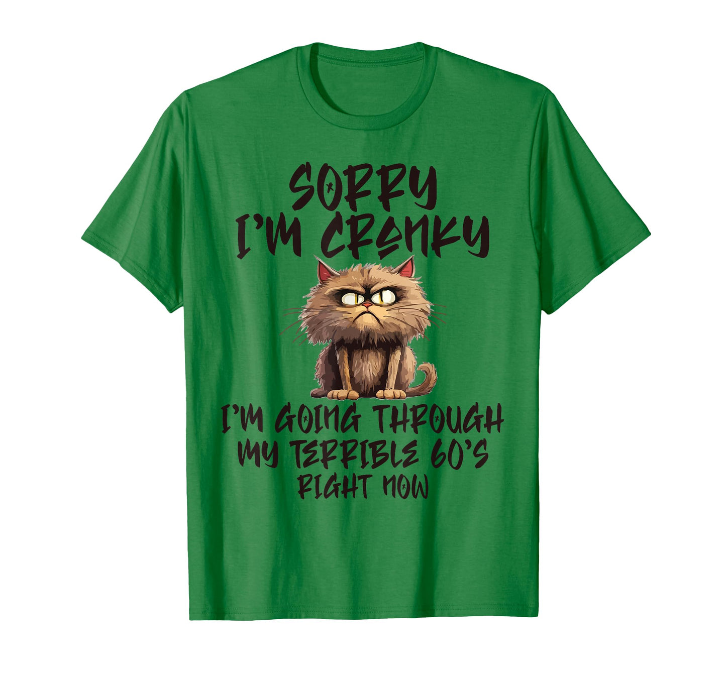 Sorry I'm Cranky I'm Going Through My Terrible 60s Funny Cat T-Shirt for Men Women