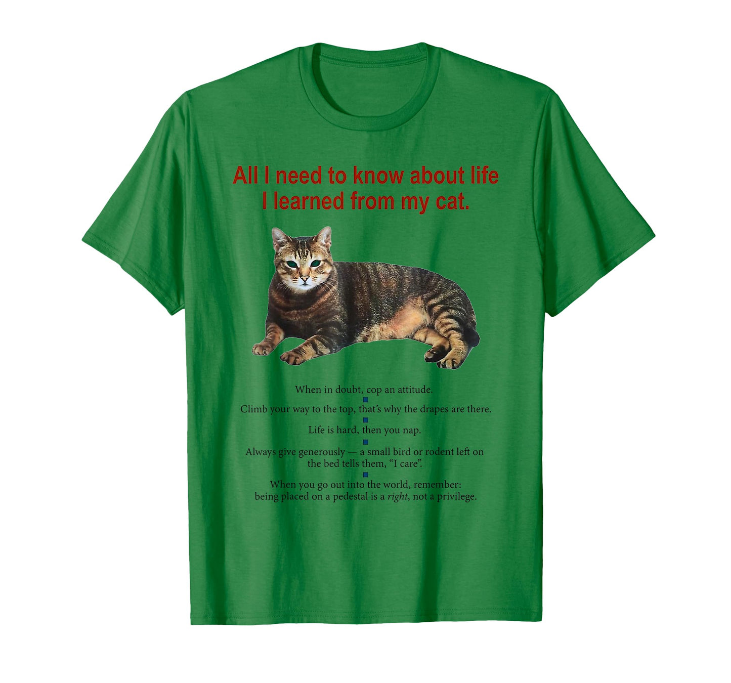 Everything I Need To Know About Life I Learned From My Cat T-Shirt for Men Women